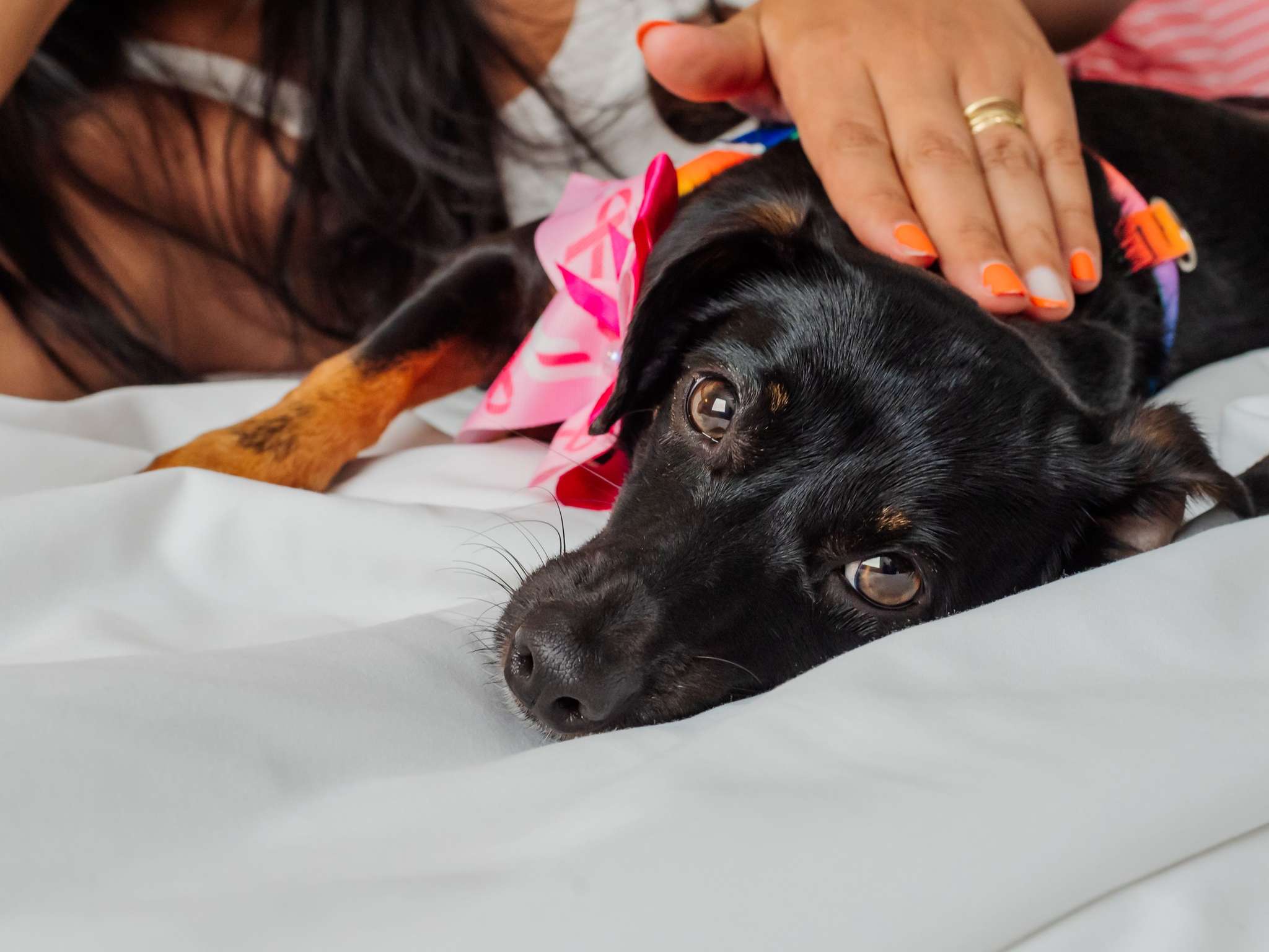 Foto - Mercure Jaragua do Sul