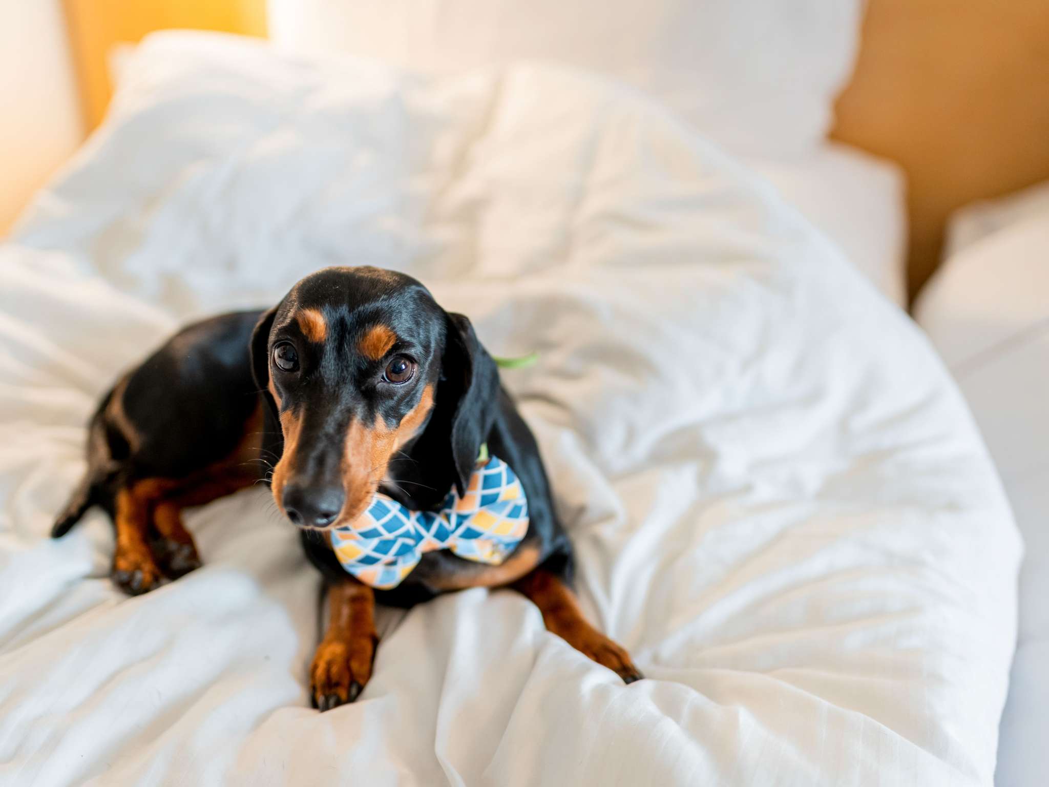 Photo - ibis Leeds Centre Marlborough Street