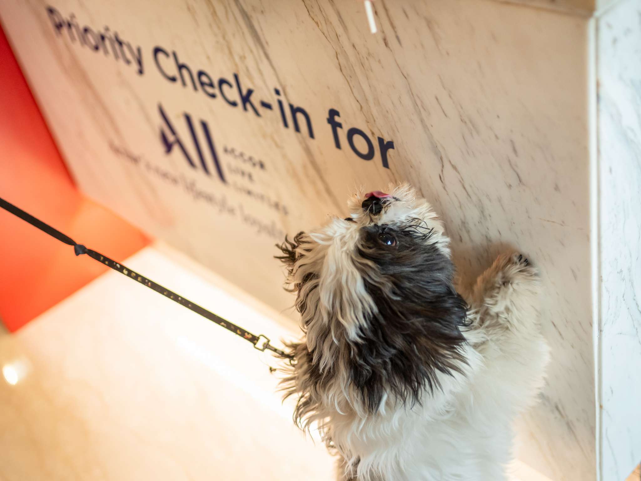 Photo - ibis London Excel-Docklands