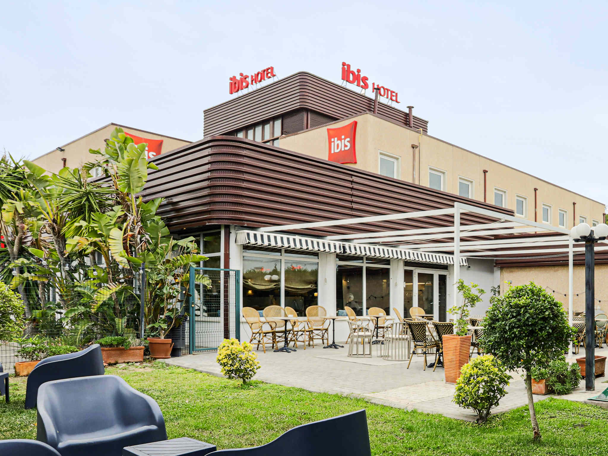 ibis Alfalfar