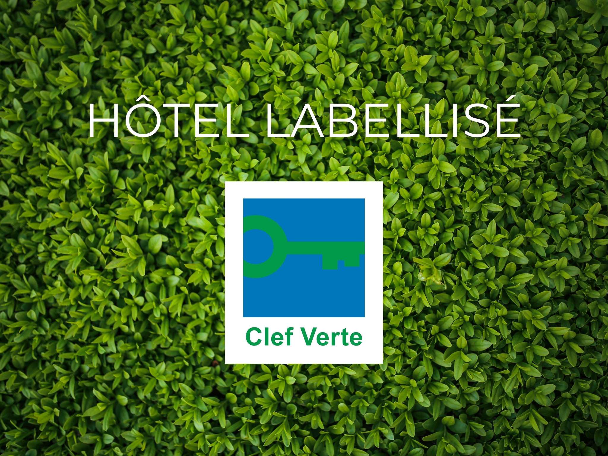 Photo - ibis budget Carcassonne La Cité