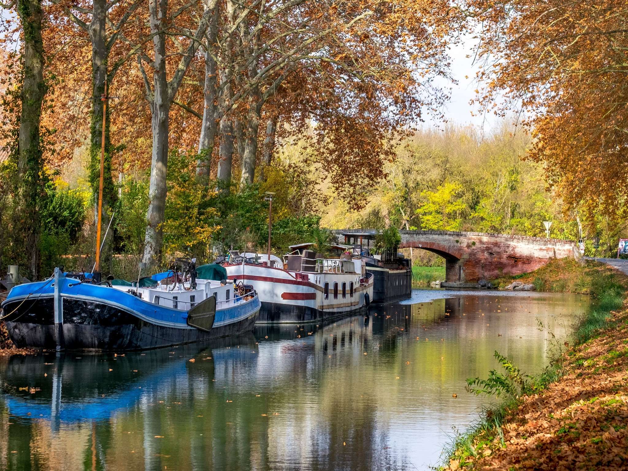 Photo - ibis budget Carcassonne La Cité