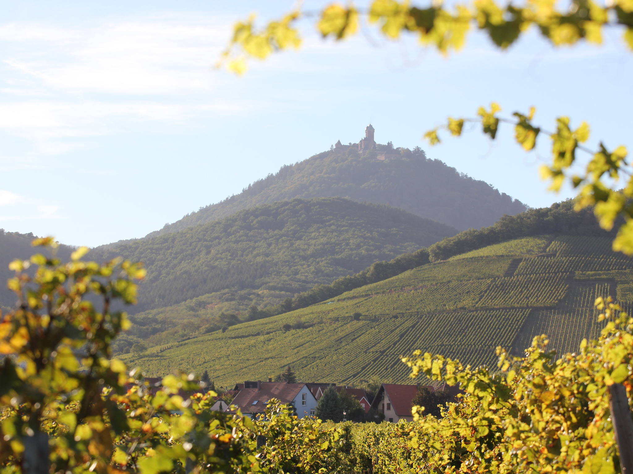 Foto - Ibis Budget Sélestat