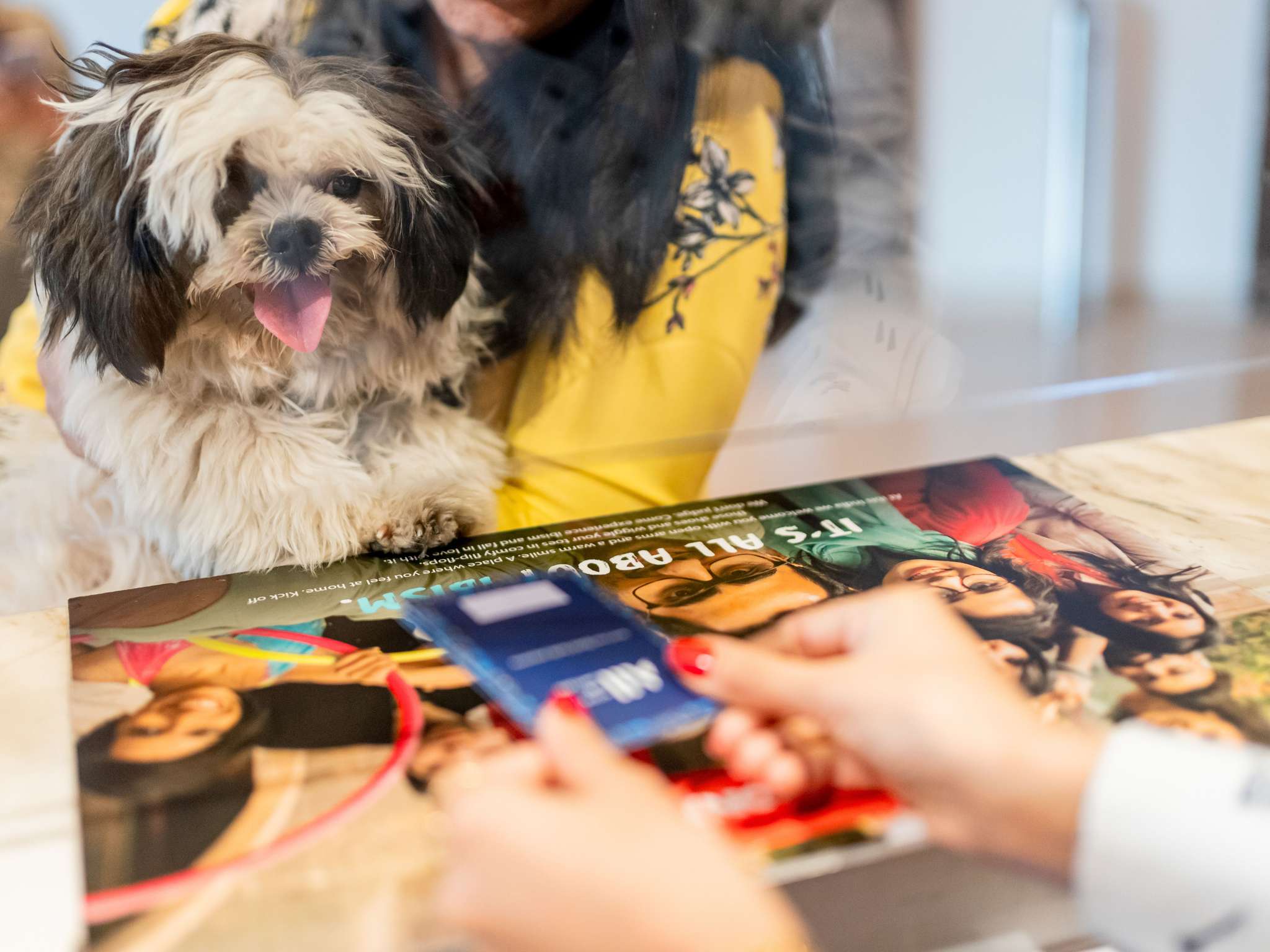 Foto - Hotel Ibis Krakow Centrum