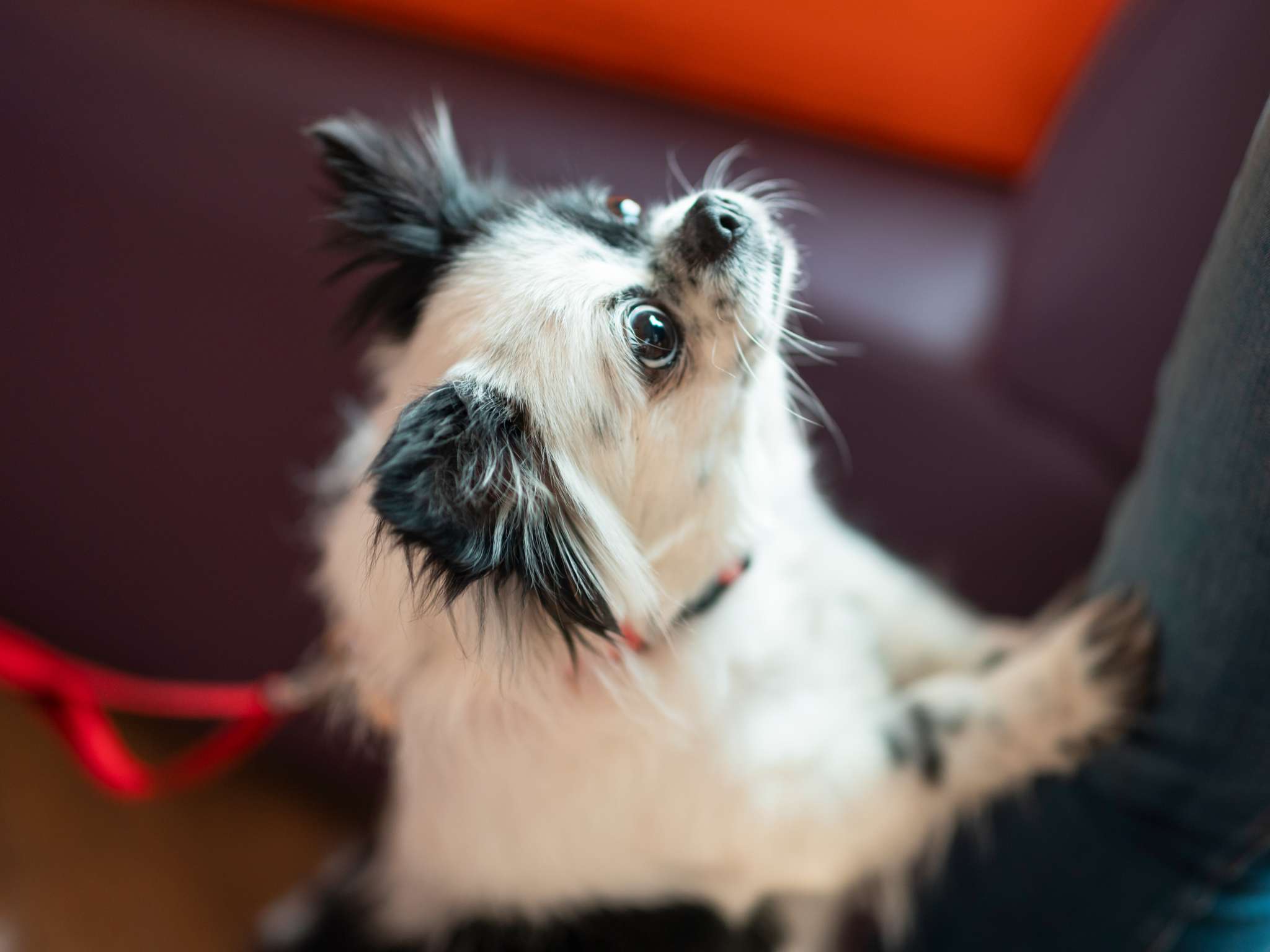 Photo - Ibis Warszawa Stare Miasto