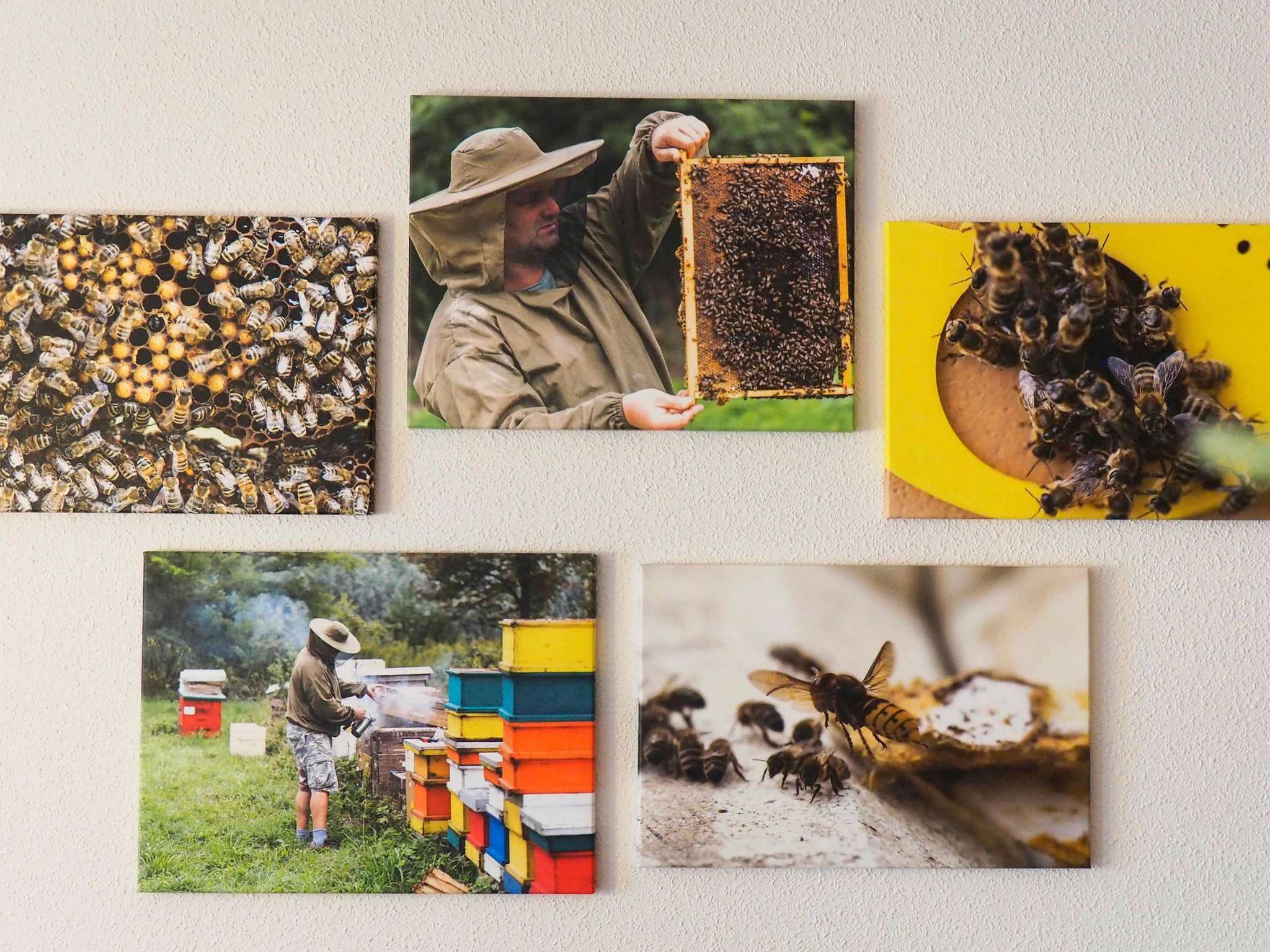 Foto - Novotel Suites Wien City Donau