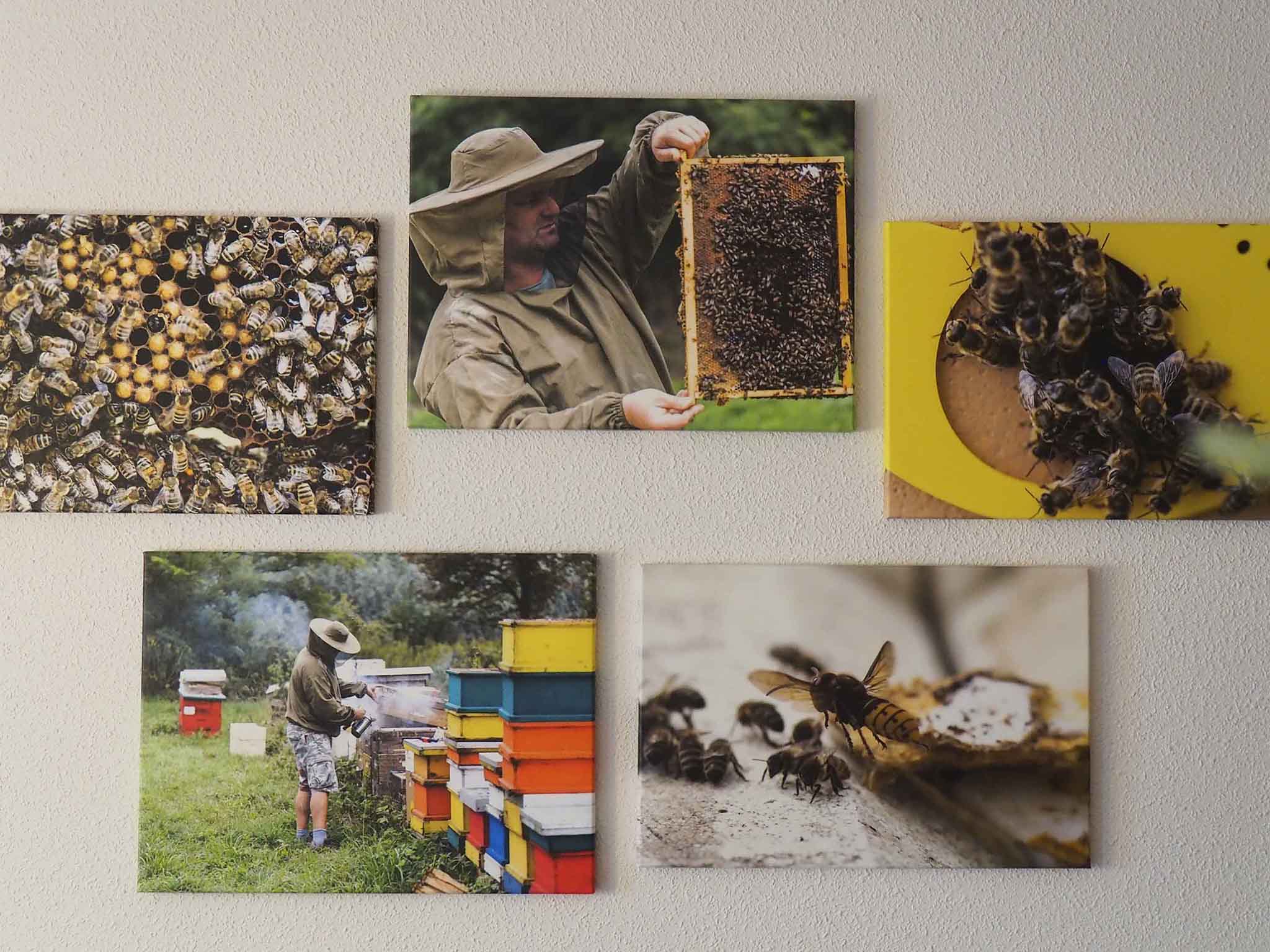 Foto - Novotel Suites Wien City Donau