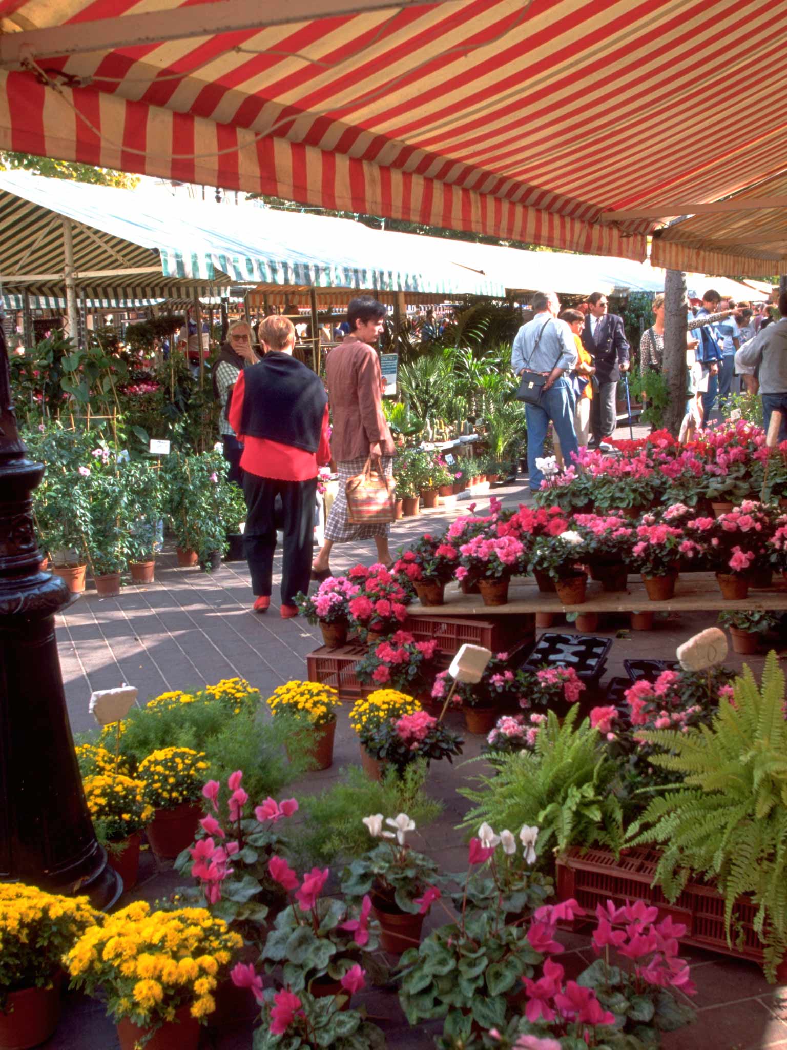 Foto - ibis Nice Centre Notre Dame