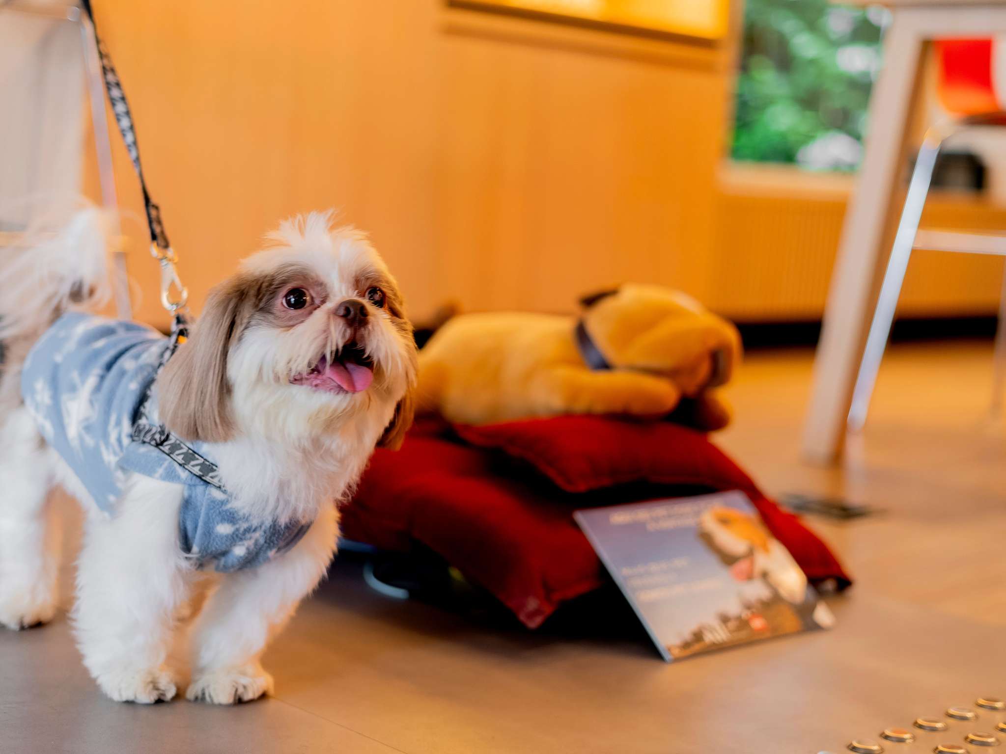 Foto - ibis Sao Paulo Paulista