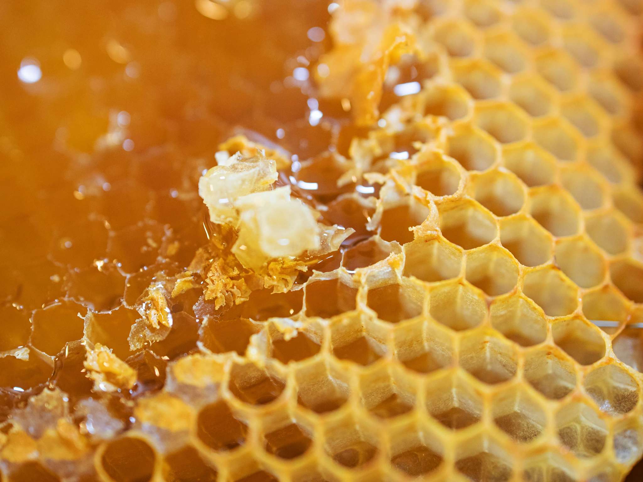 Foto - Novotel Suites Berlin City Potsdamer Platz