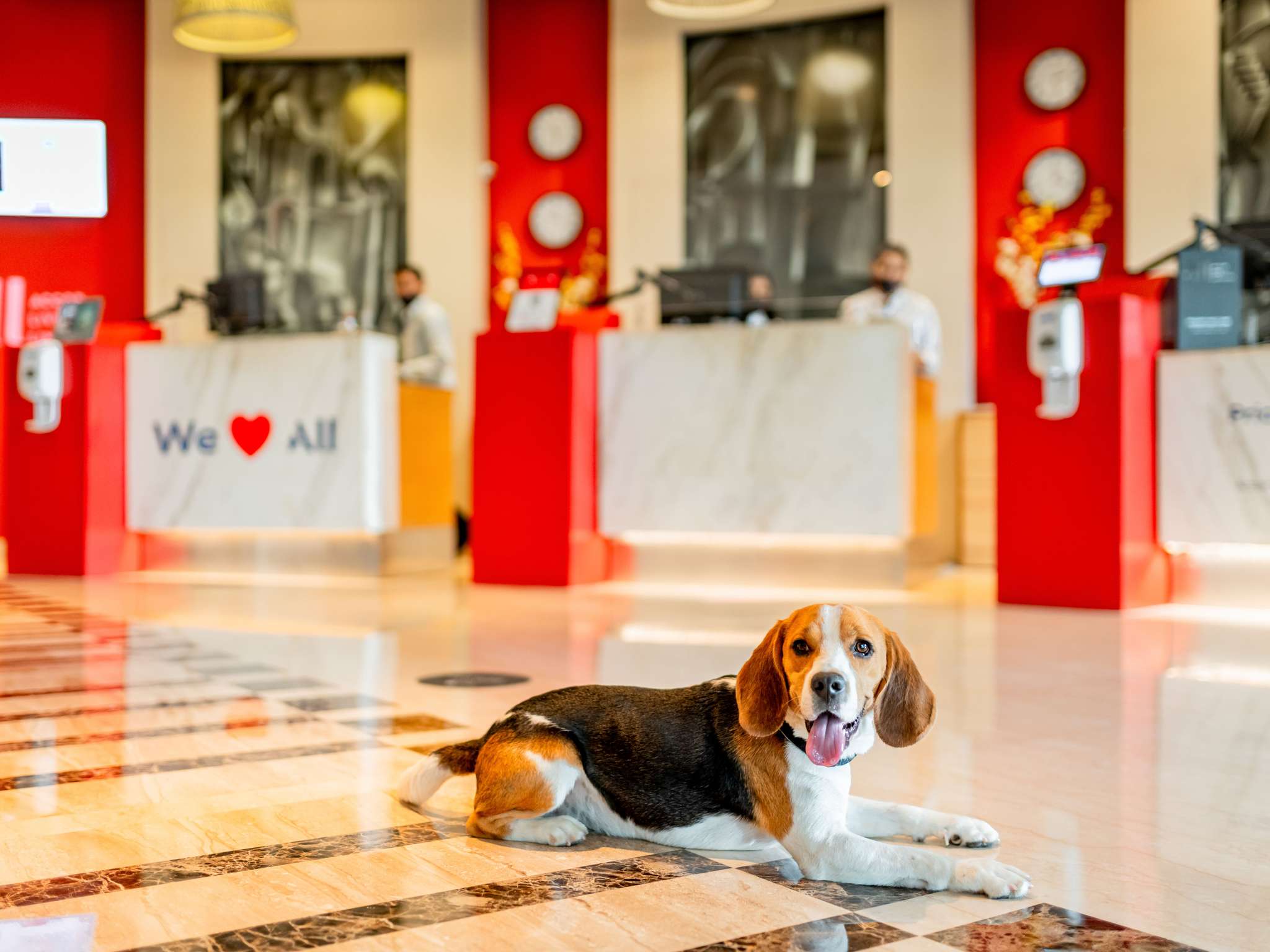 Foto - Ibis Madrid Aeropuerto Barajas