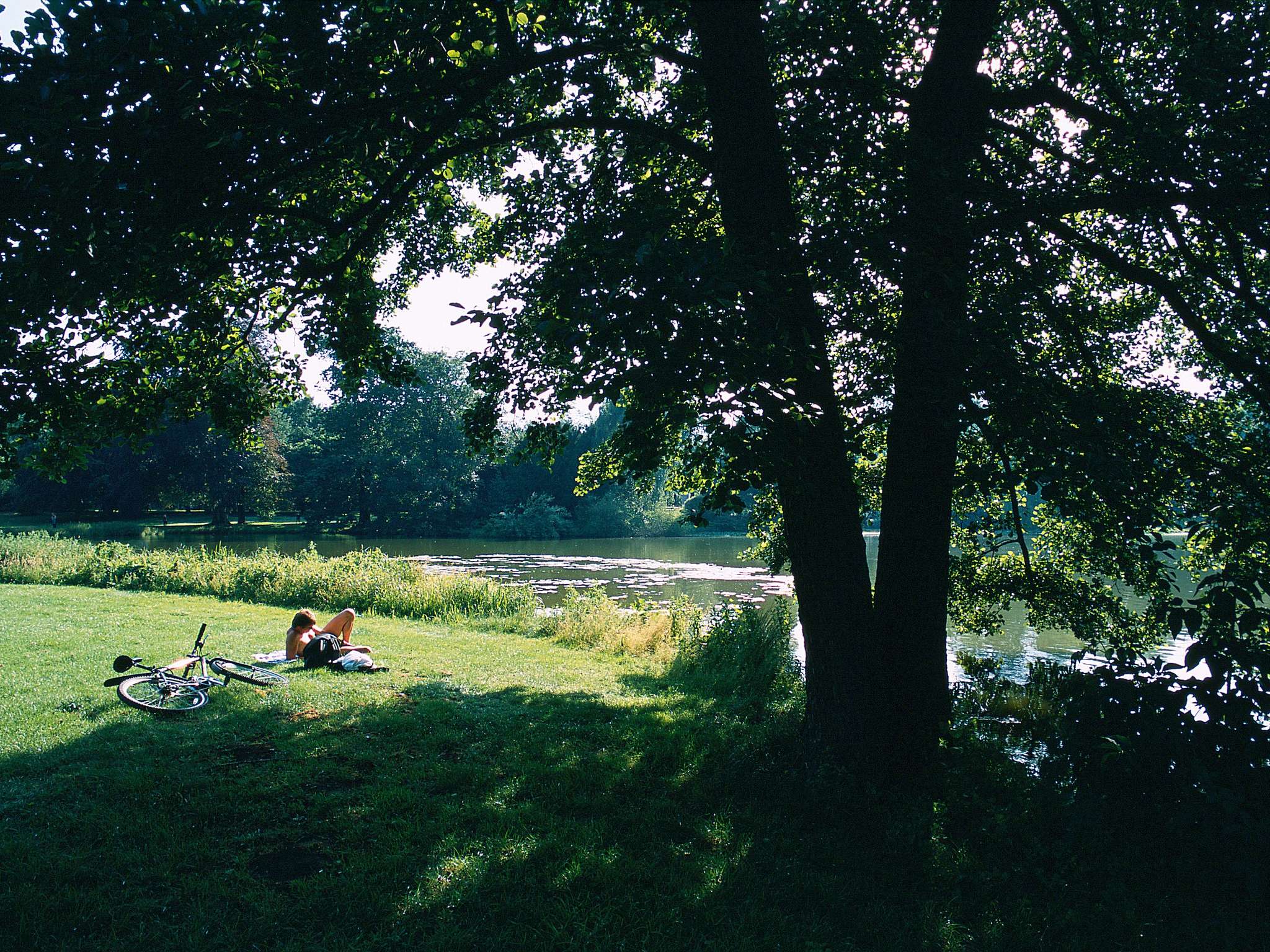 Photo - Novotel Suites Hannover