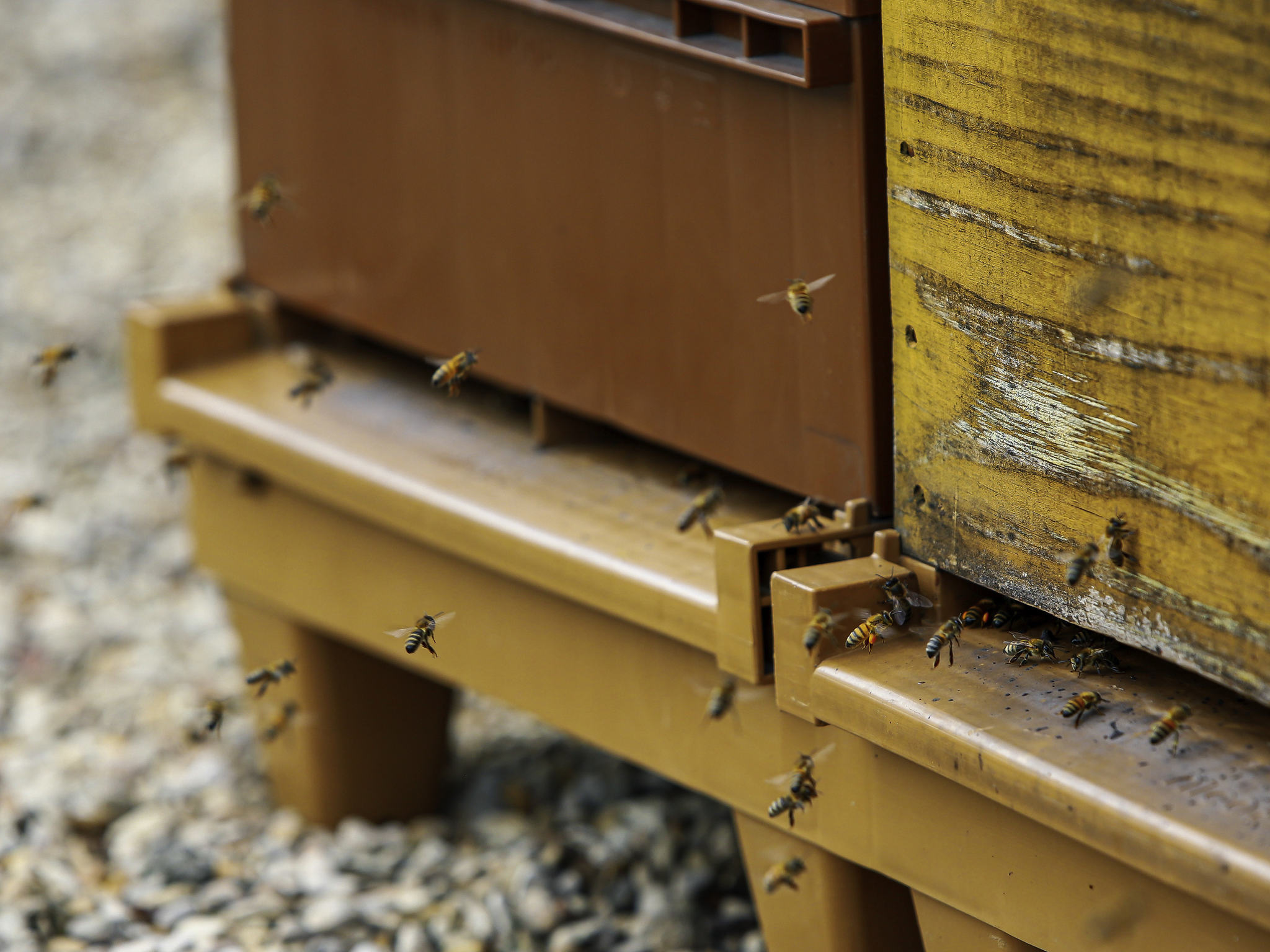 Photo - Novotel Paris 17