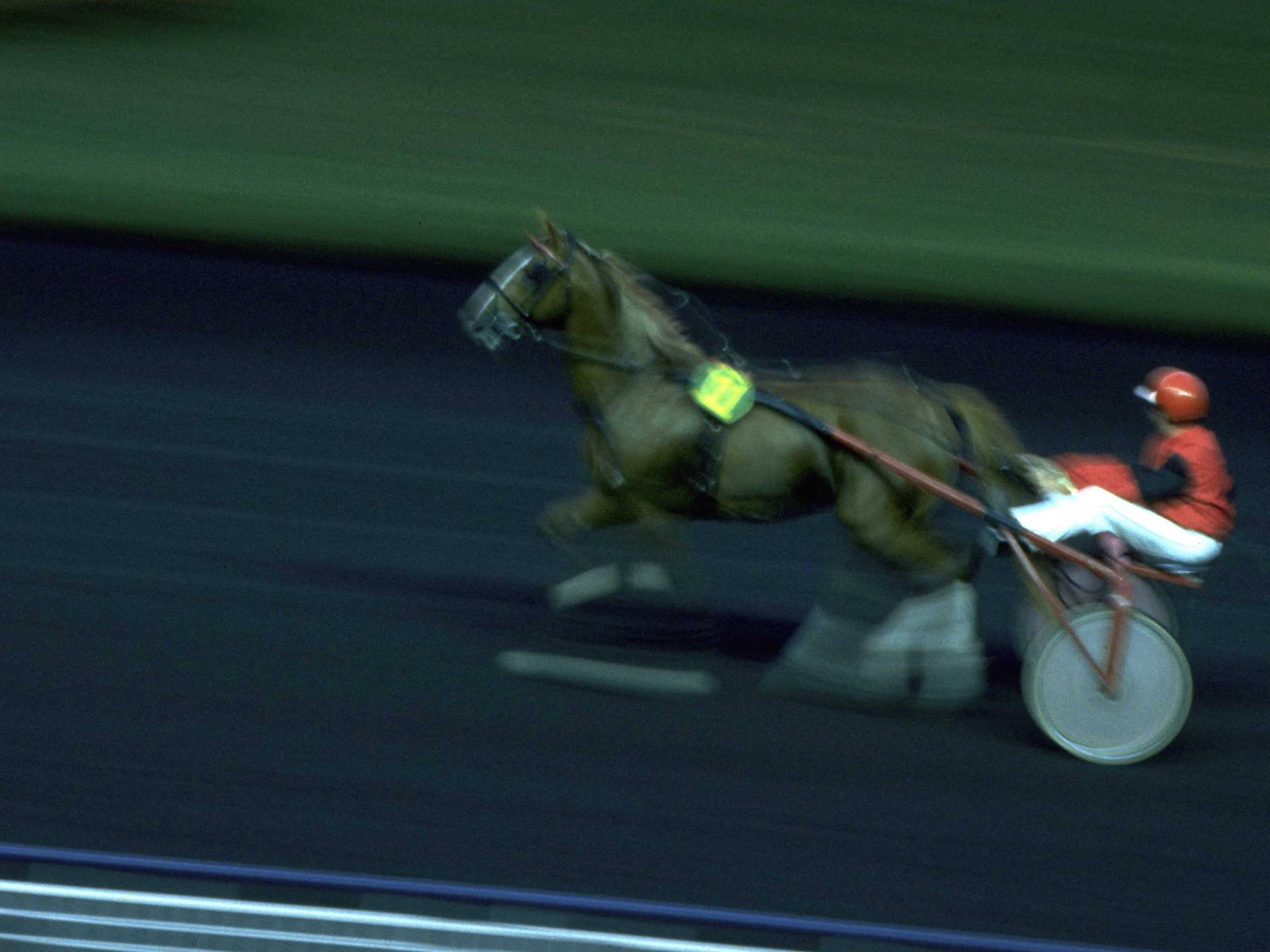 Photo - ibis Daumesnil Porte Doree