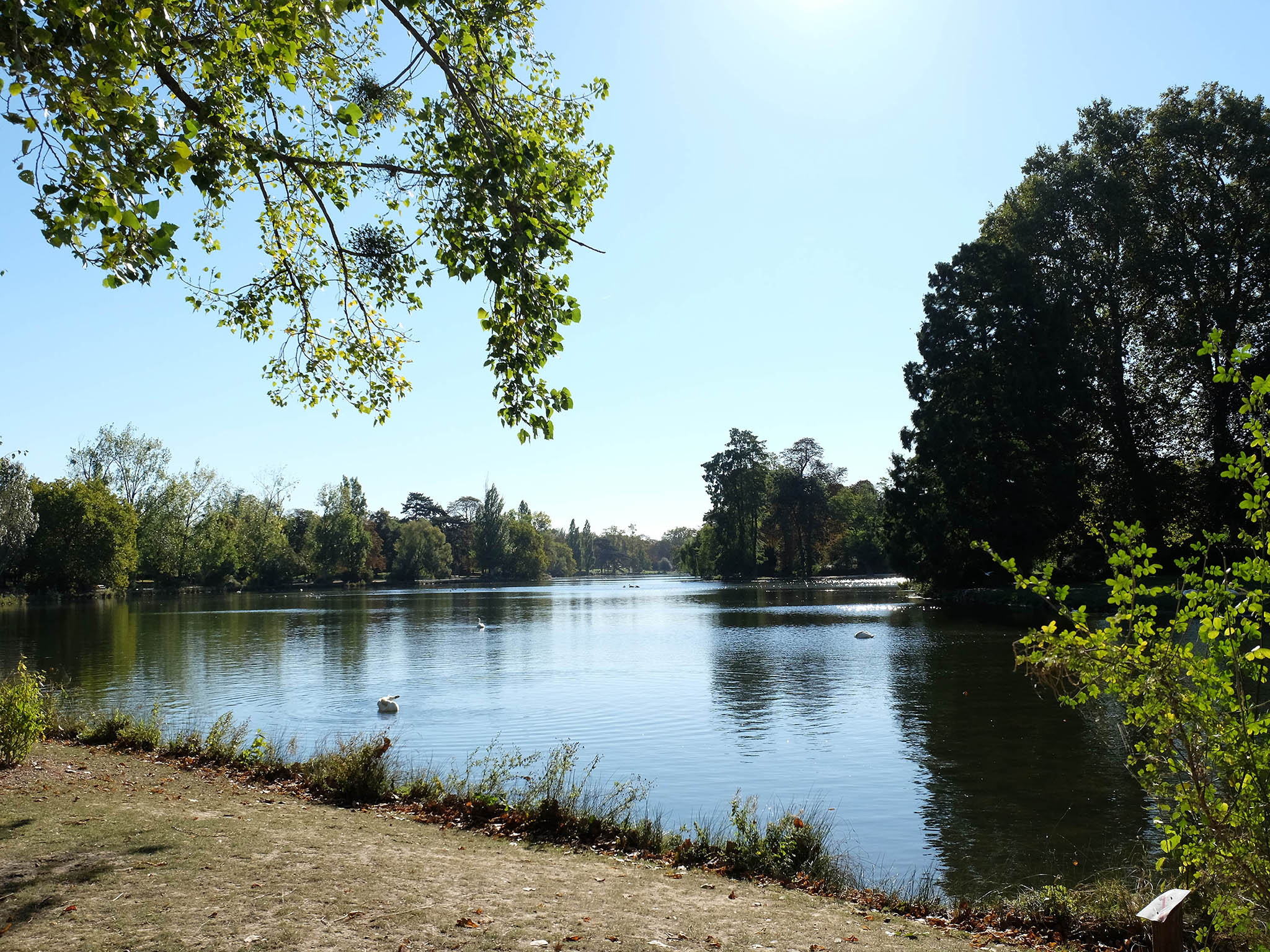 Photo - ibis Daumesnil Porte Doree