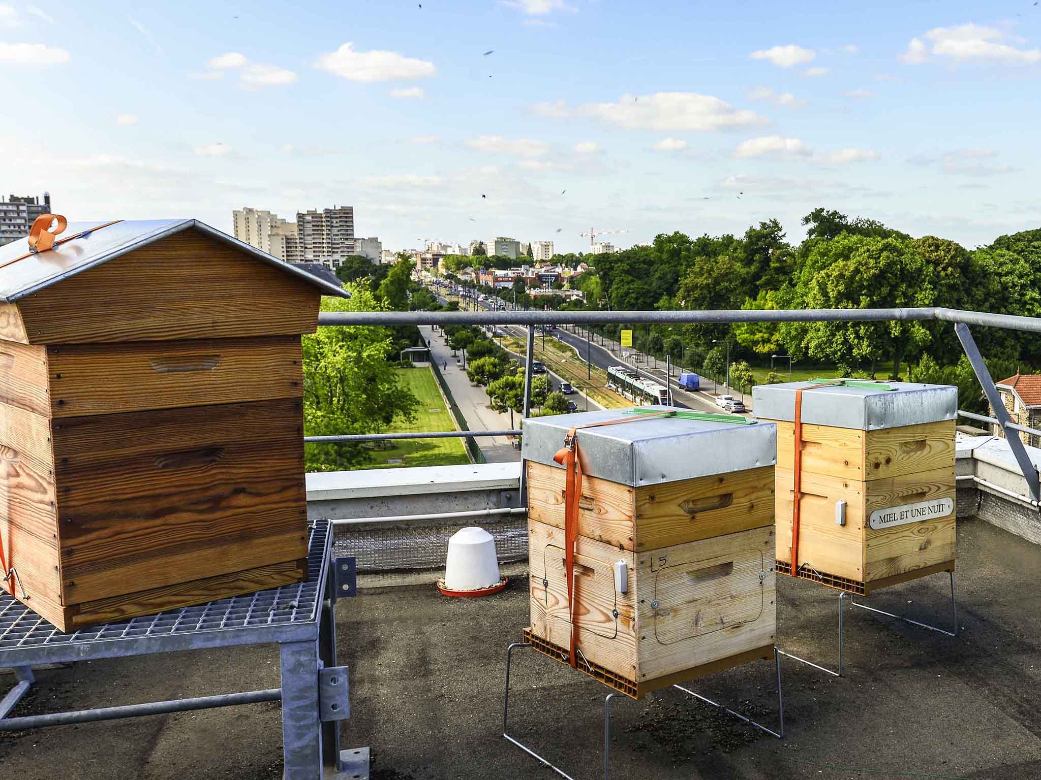 Photo - Ibis Budget Orly Chevilly Tram 7