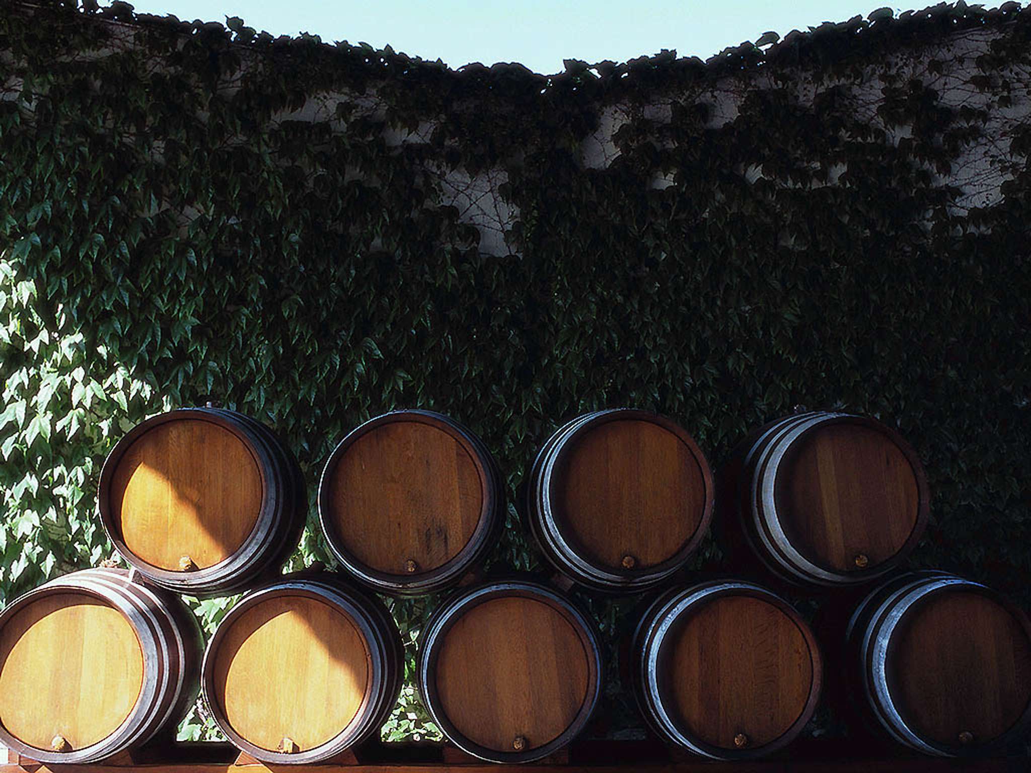 Photo - ibis budget Bordeaux Centre - Gare Saint Jean