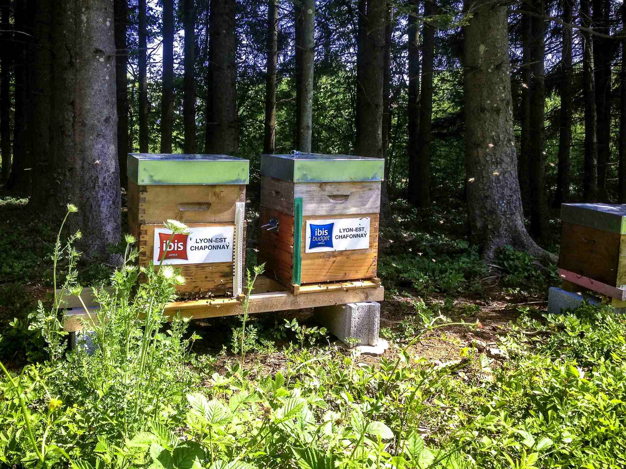 Foto - ibis budget Lyon Est Chaponnay