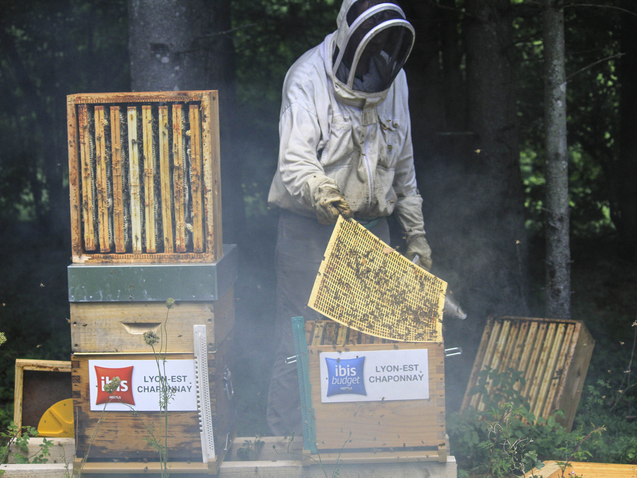 Foto - ibis budget Lyon Est Chaponnay