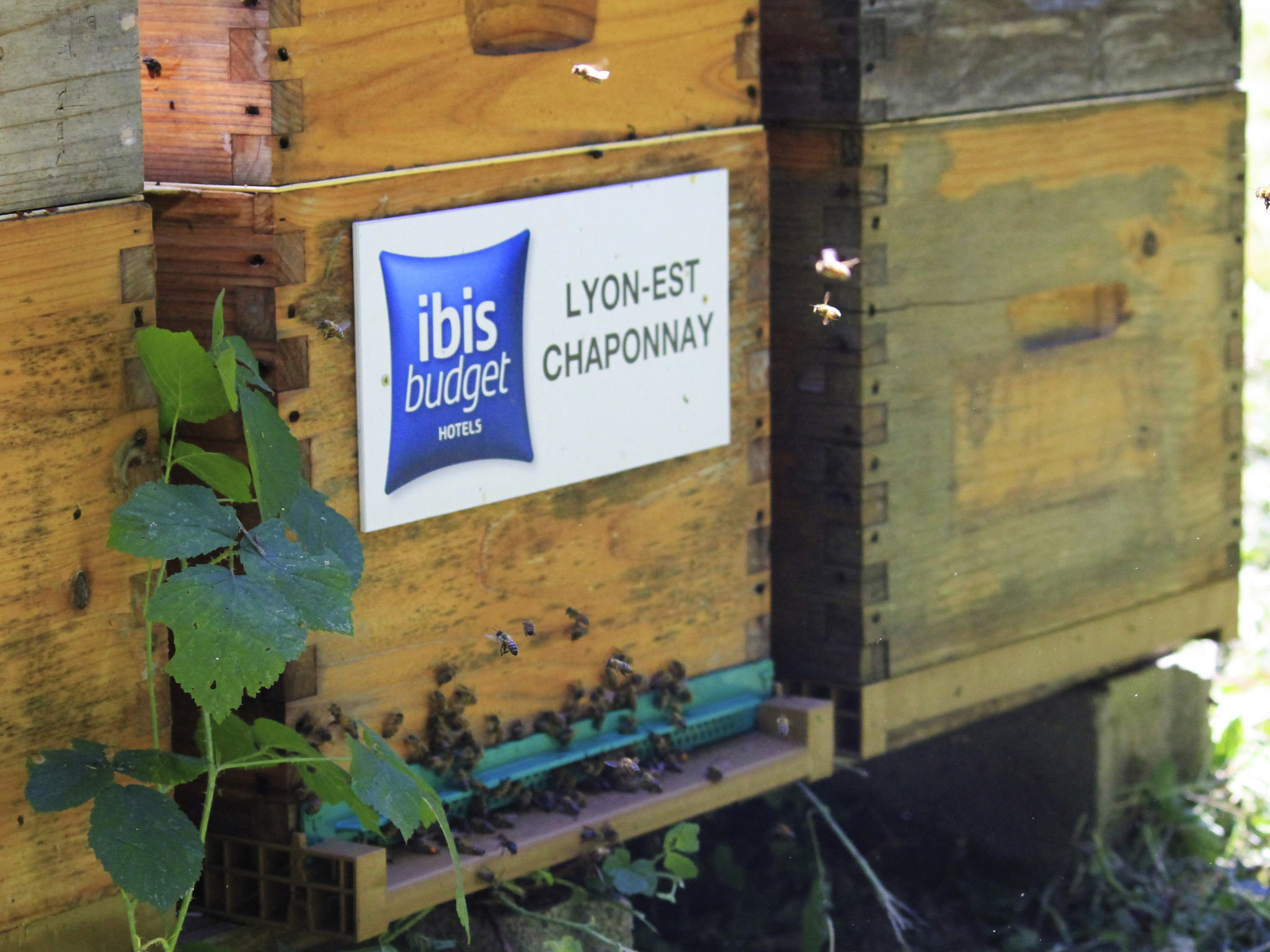 Foto - ibis budget Lyon Est Chaponnay