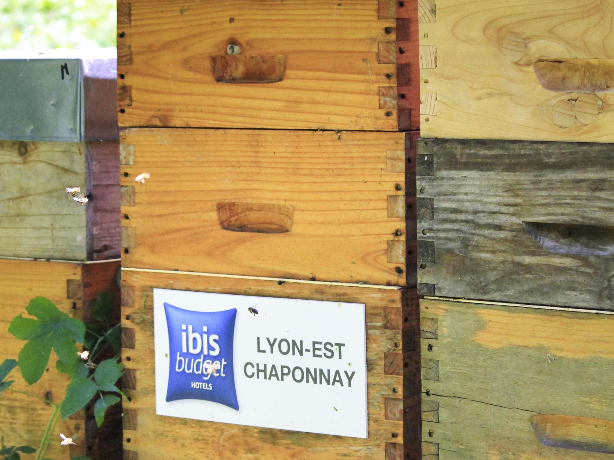 Foto - ibis budget Lyon Est Chaponnay