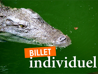 Foto - Ibis Budget Montelimar