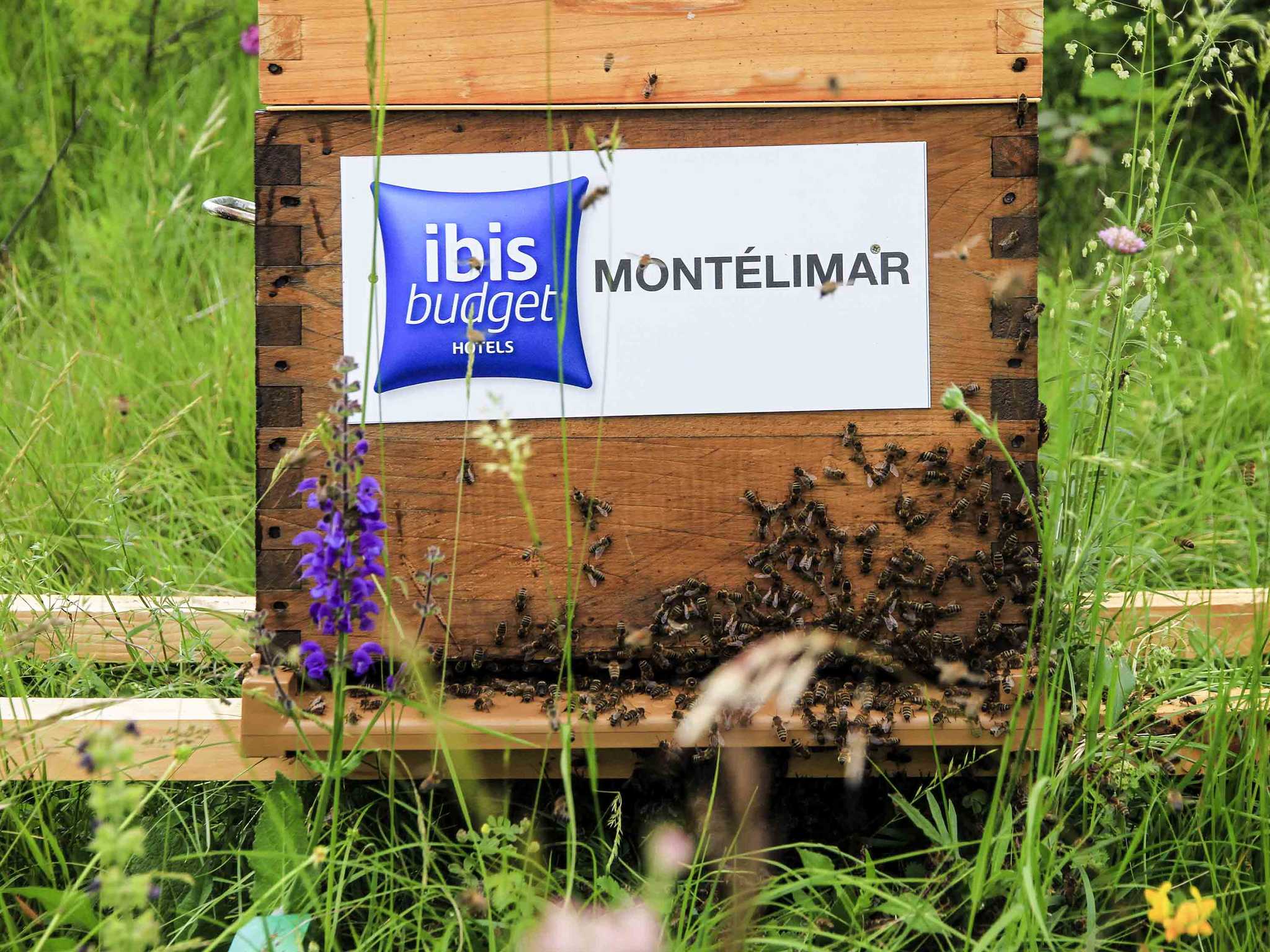 Foto - Ibis Budget Montelimar