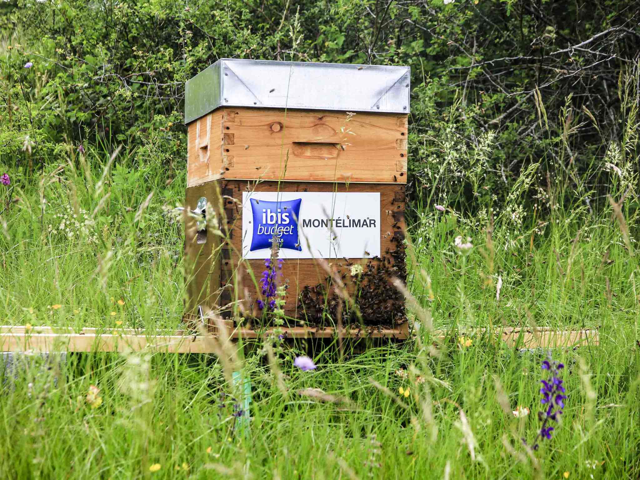 Foto - Ibis Budget Montelimar