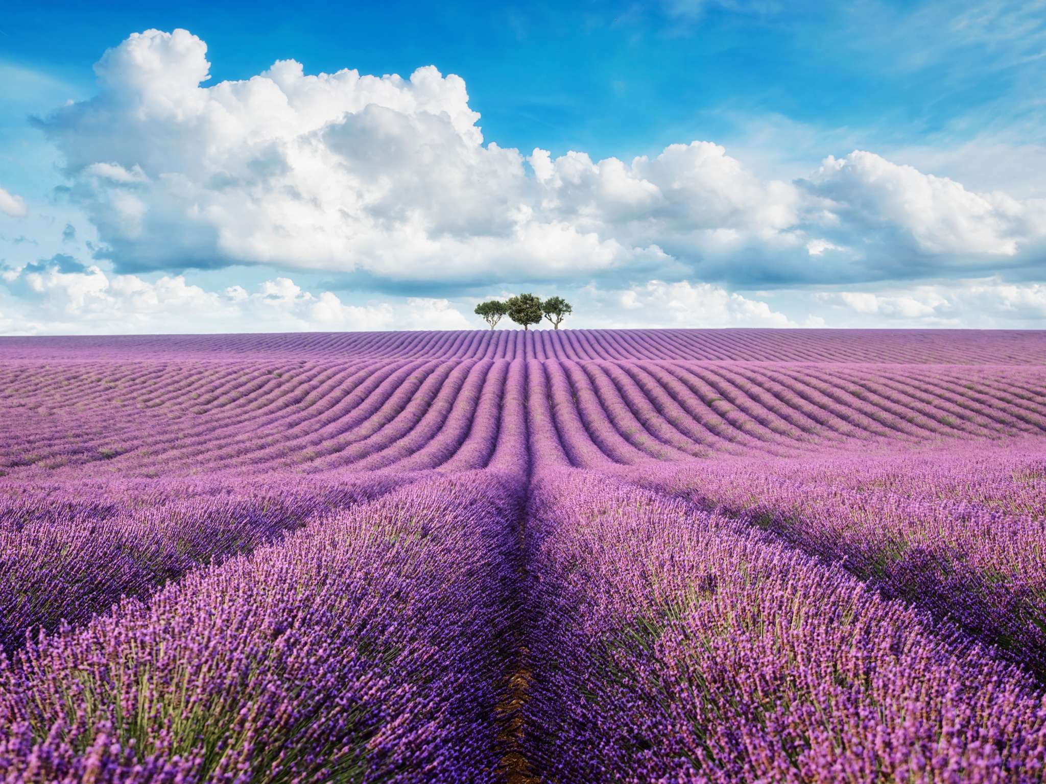 Foto - Ibis Budget Montelimar