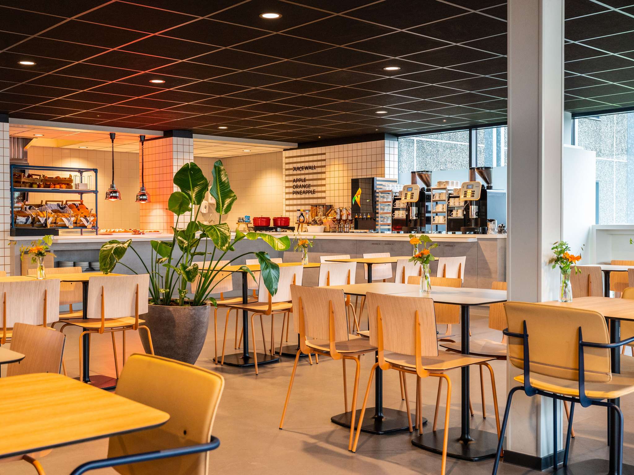 Foto - ibis budget Amsterdam Airport