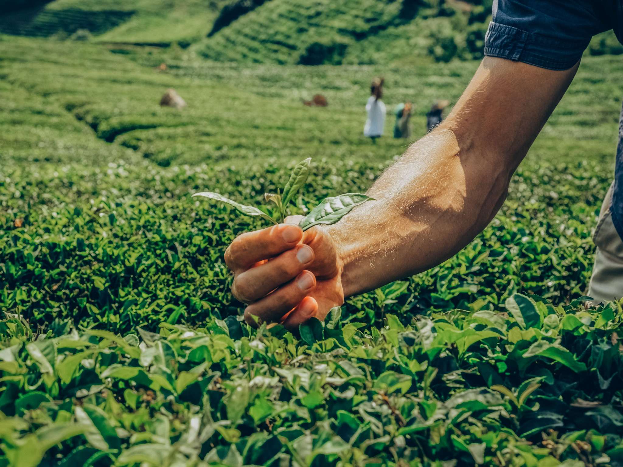 Foto - Ibis Praha Mala Strana