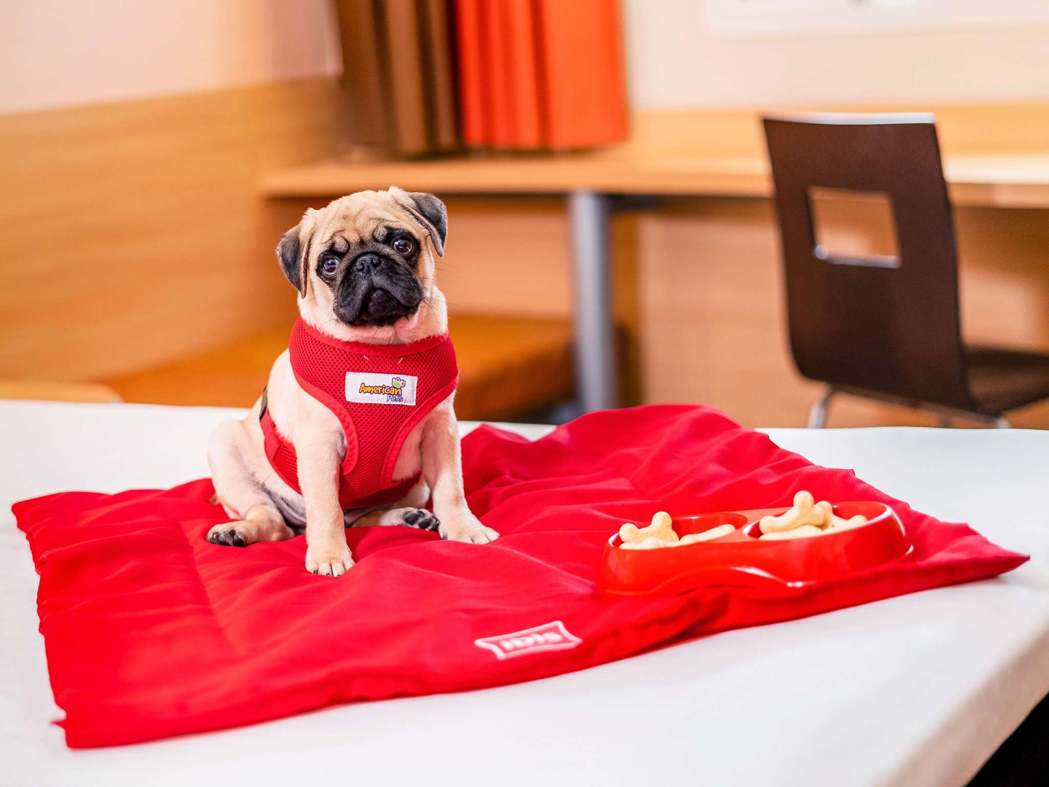 Photo - ibis Vitoria Praia do Canto