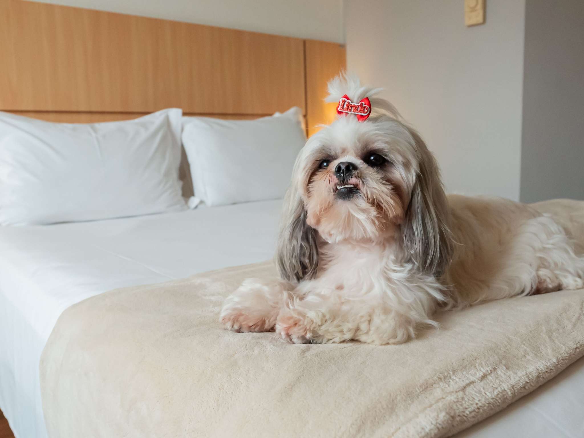 Photo - Ibis Florianopolis