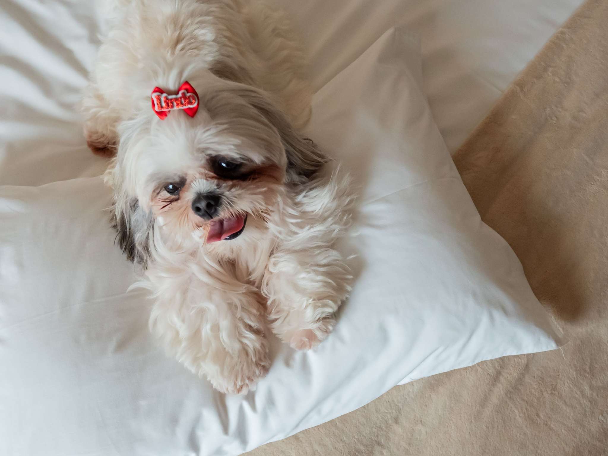 Photo - Ibis Florianopolis