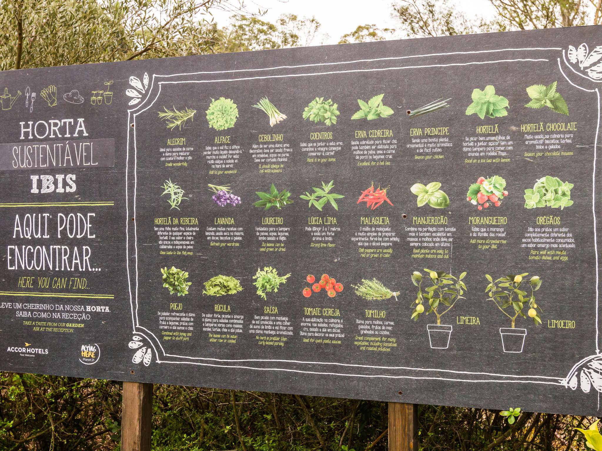 Foto - Hotel ibis Lisboa Alfragide