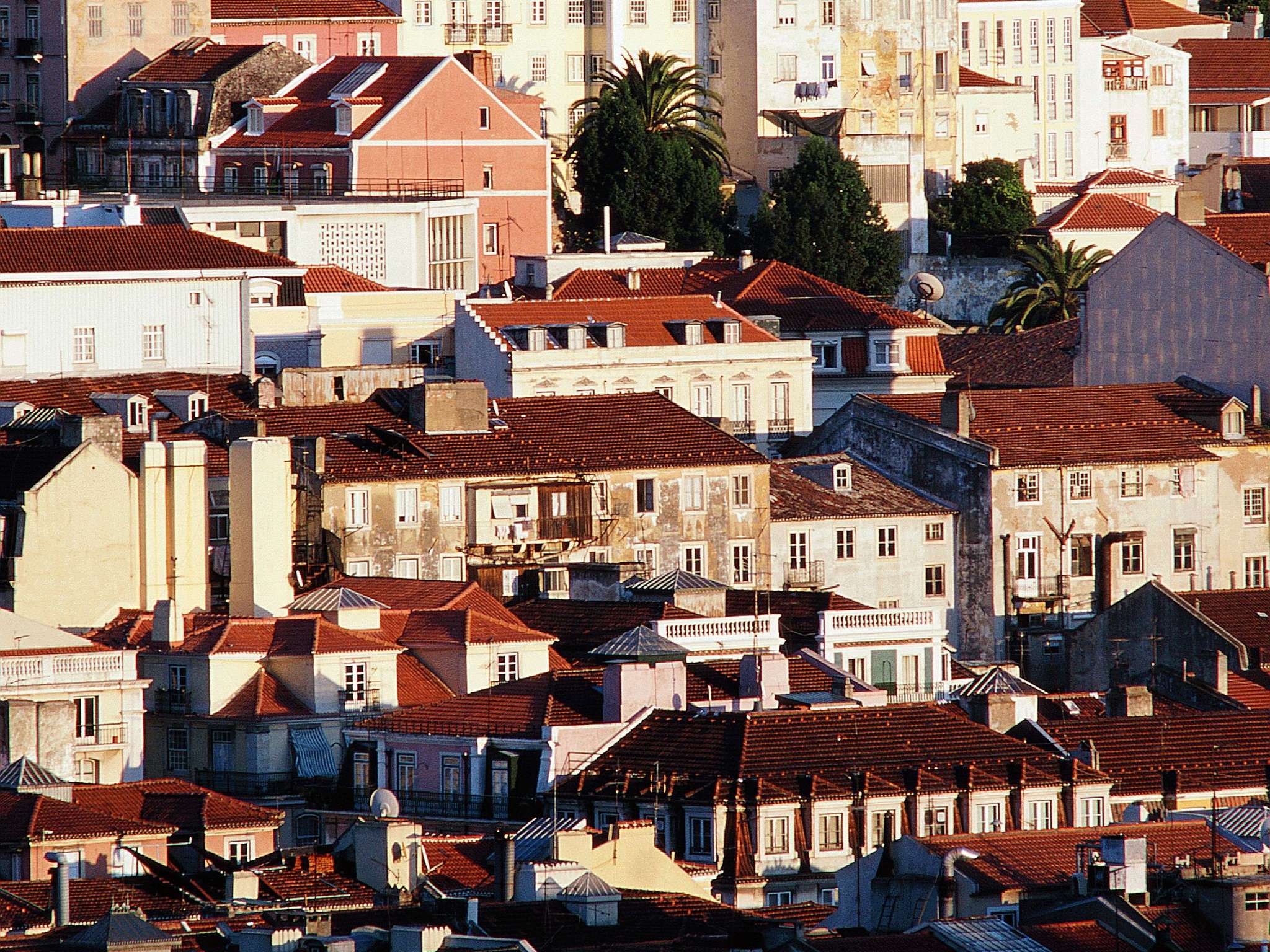 Foto - Hotel ibis Lisboa Alfragide