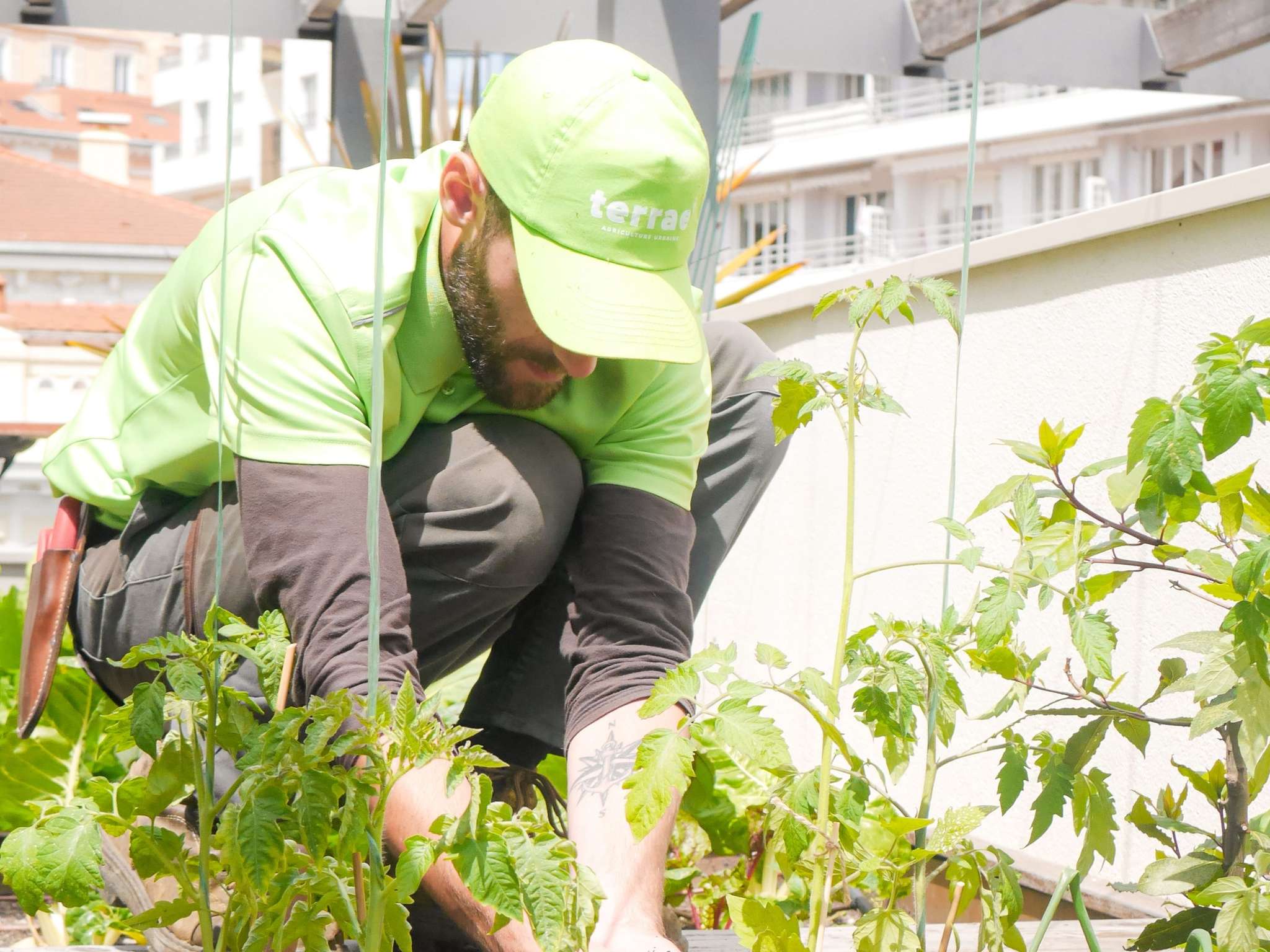 Foto - Novotel Monte-Carlo