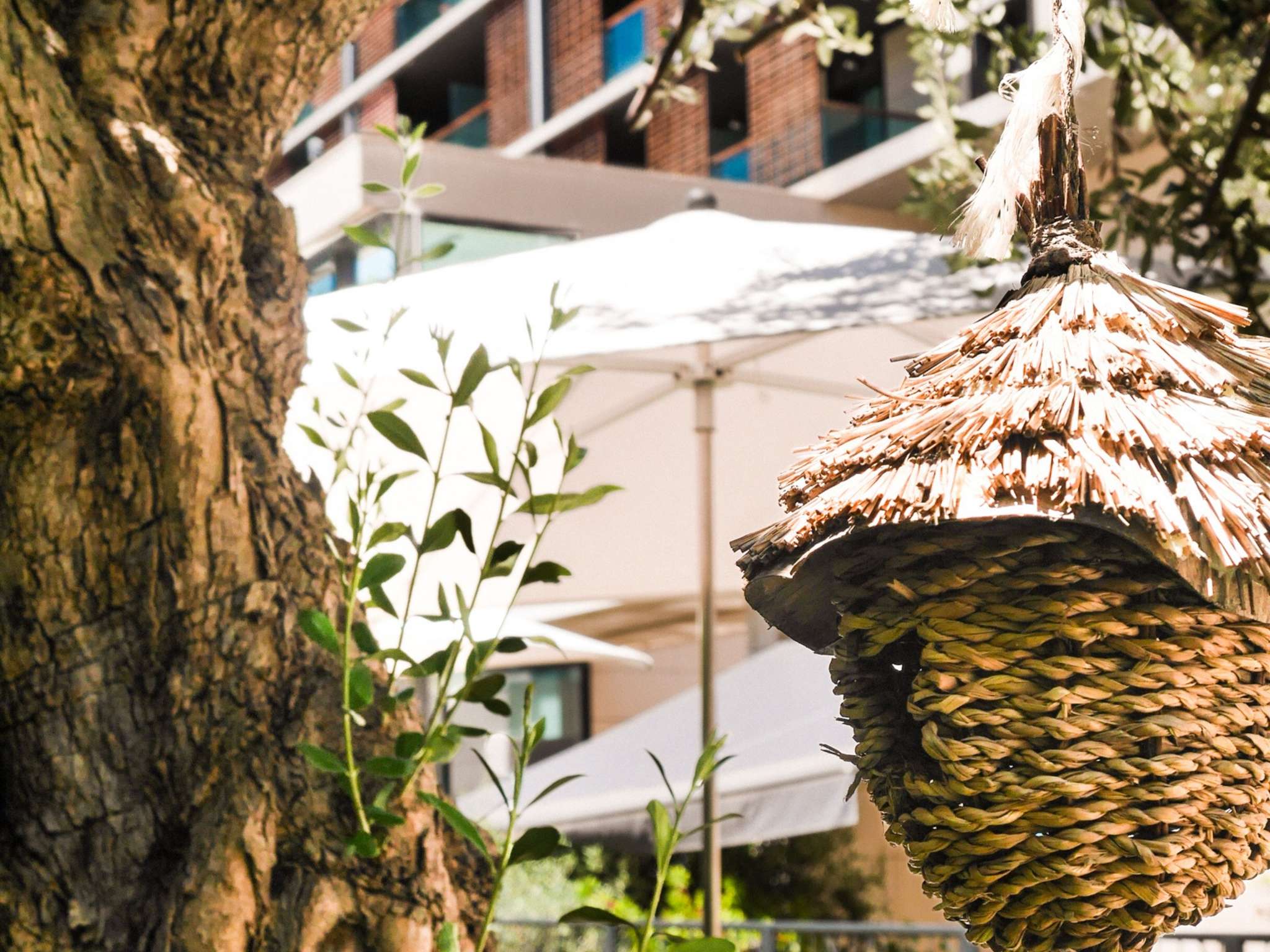 Foto - Novotel Monte-Carlo