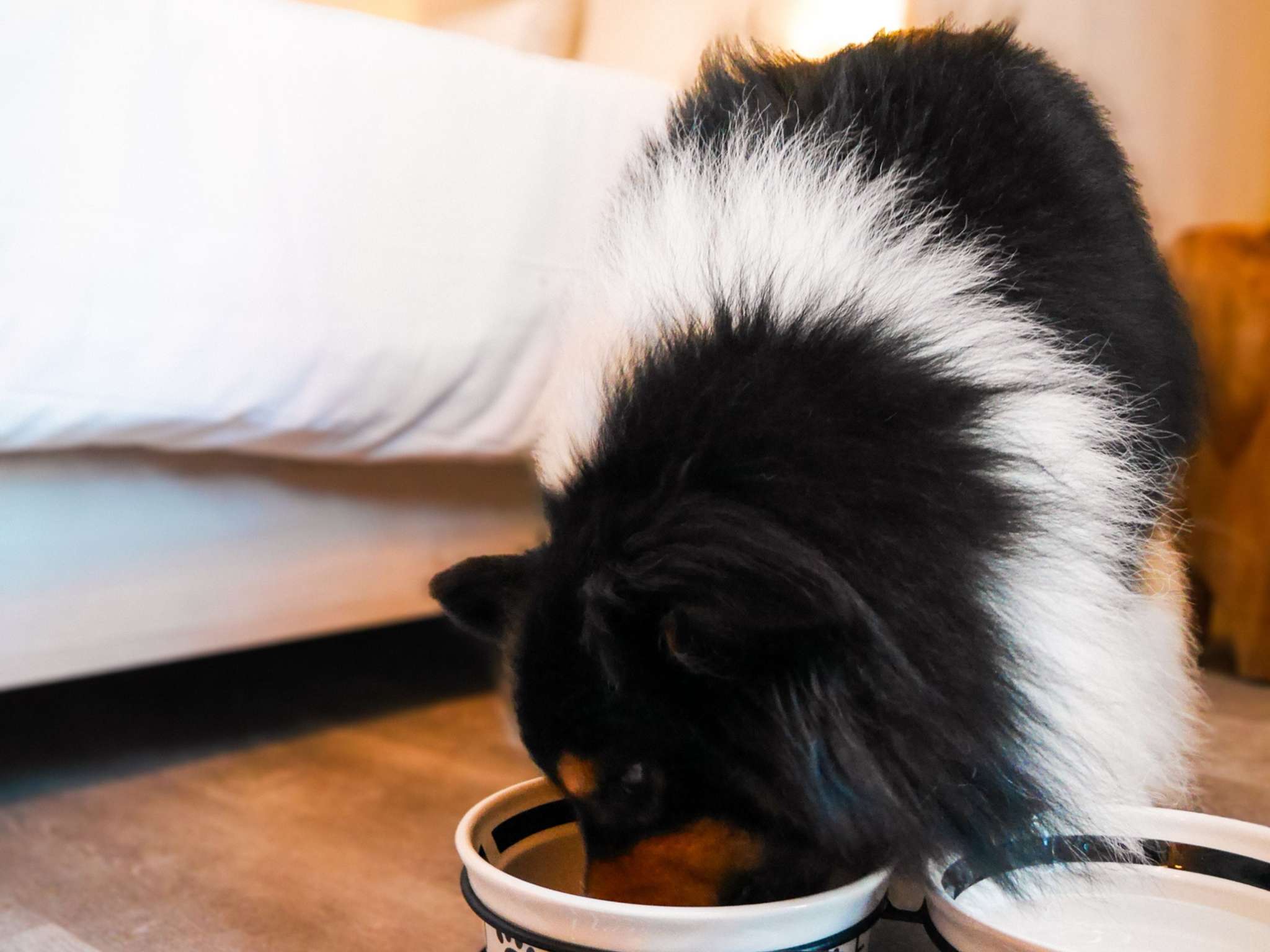 Foto - Novotel Monte-Carlo