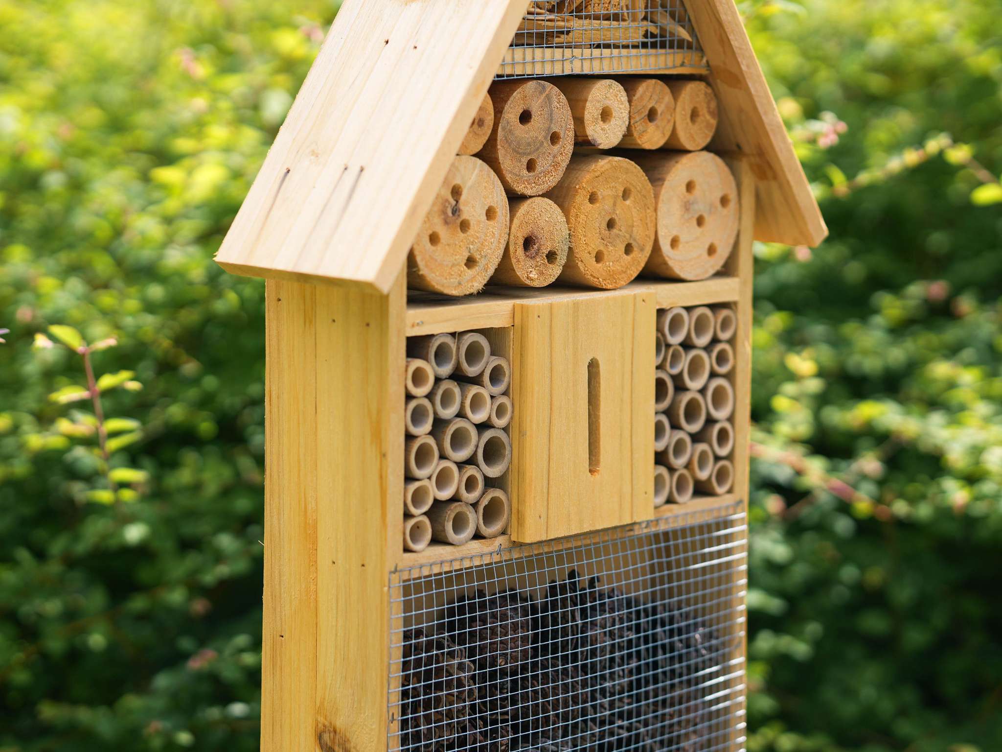 Photo - ibis Caen Porte De Bretagne