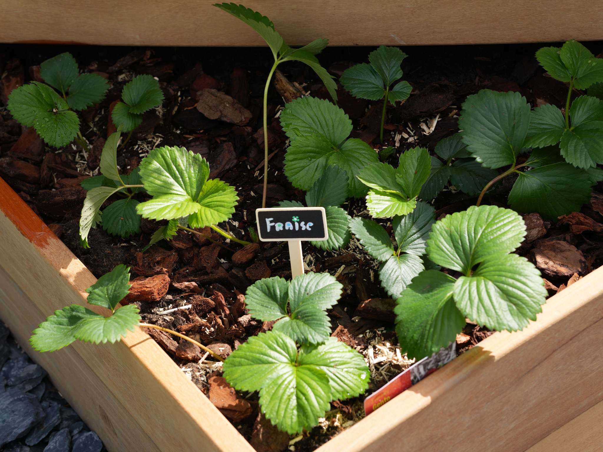 Photo - ibis Caen Porte De Bretagne