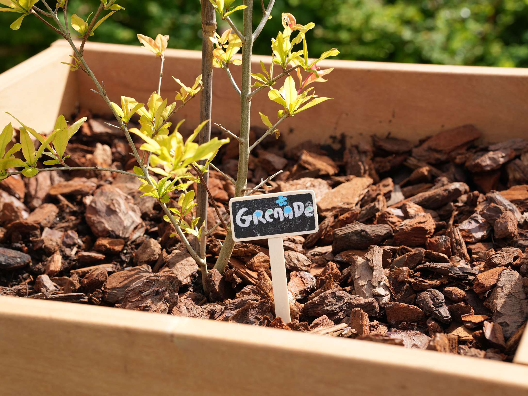 Photo - ibis Caen Porte De Bretagne