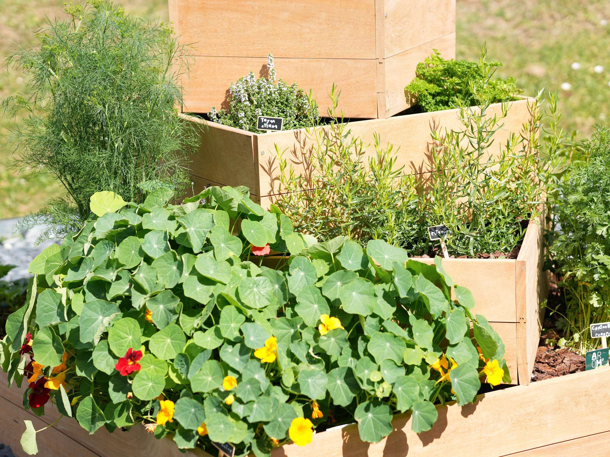 Photo - ibis Caen Porte De Bretagne