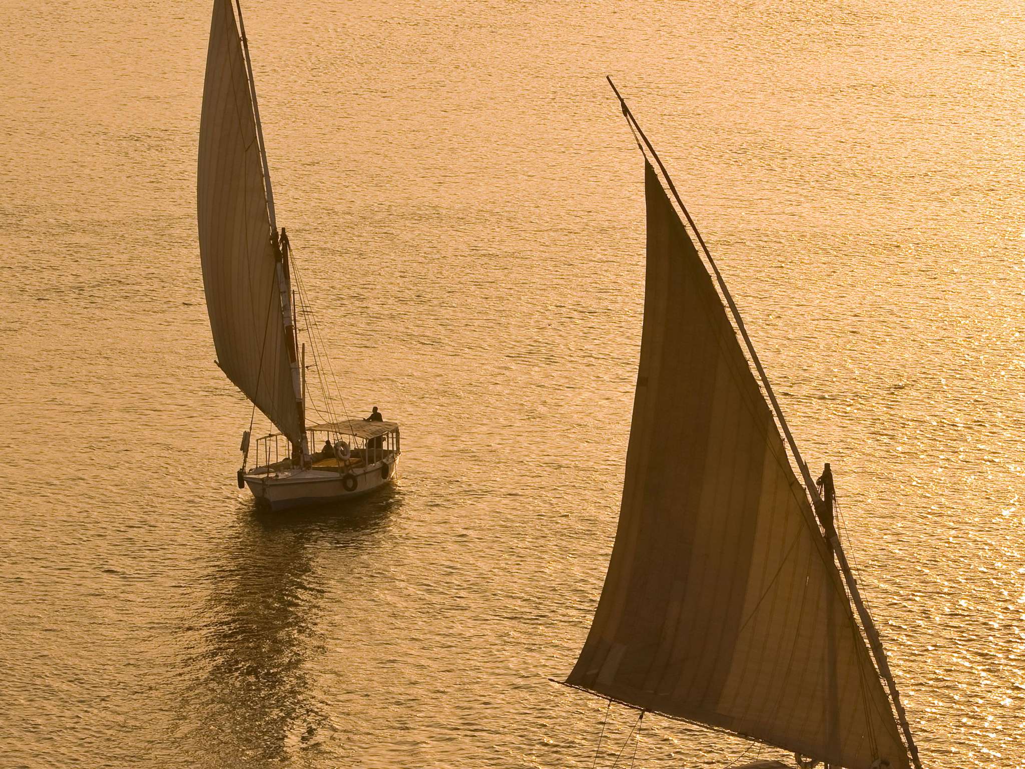 Foto - Sofitel Cairo Nile El Gezirah