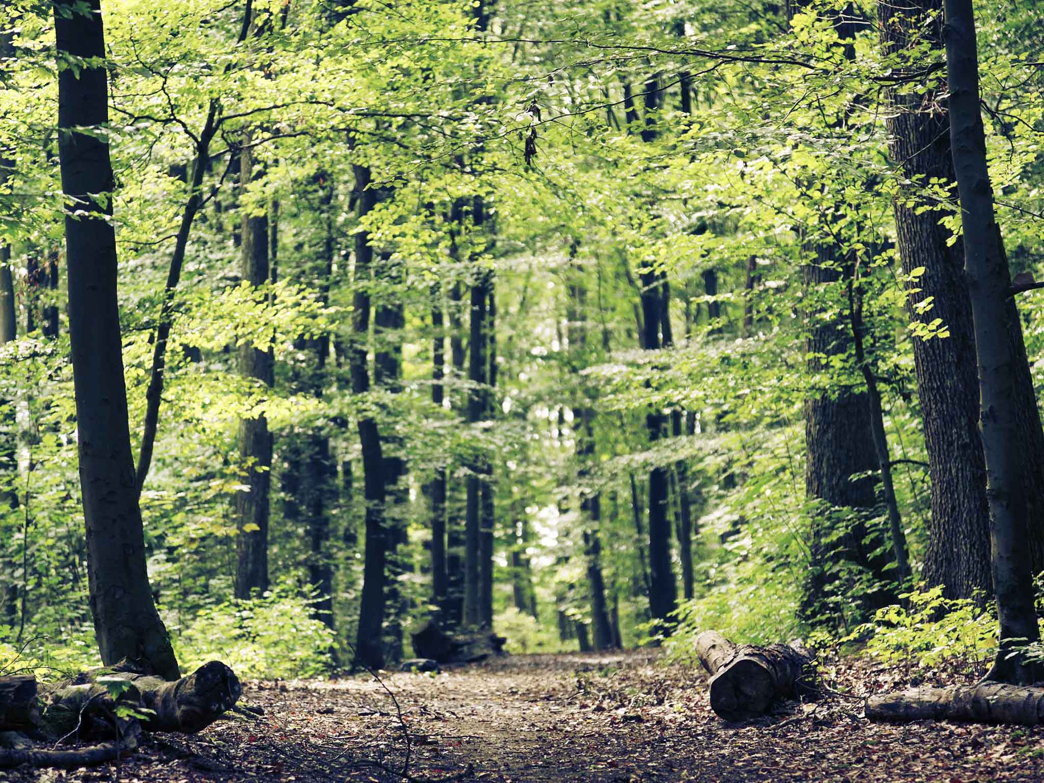 Foto - Mercure Hotel Köln City Friesenstraße