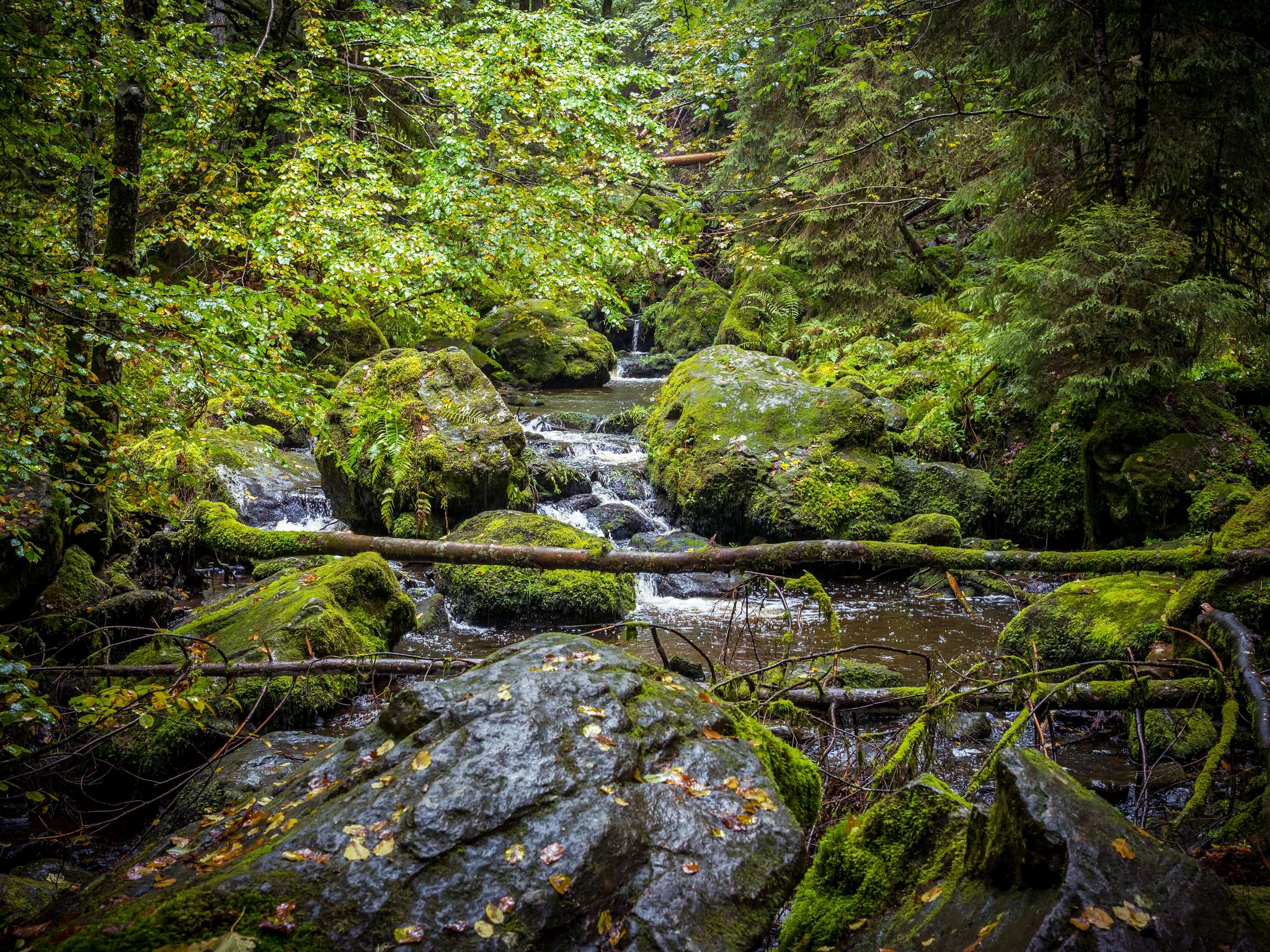 Foto - Novotel Freiburg am Konzerthaus