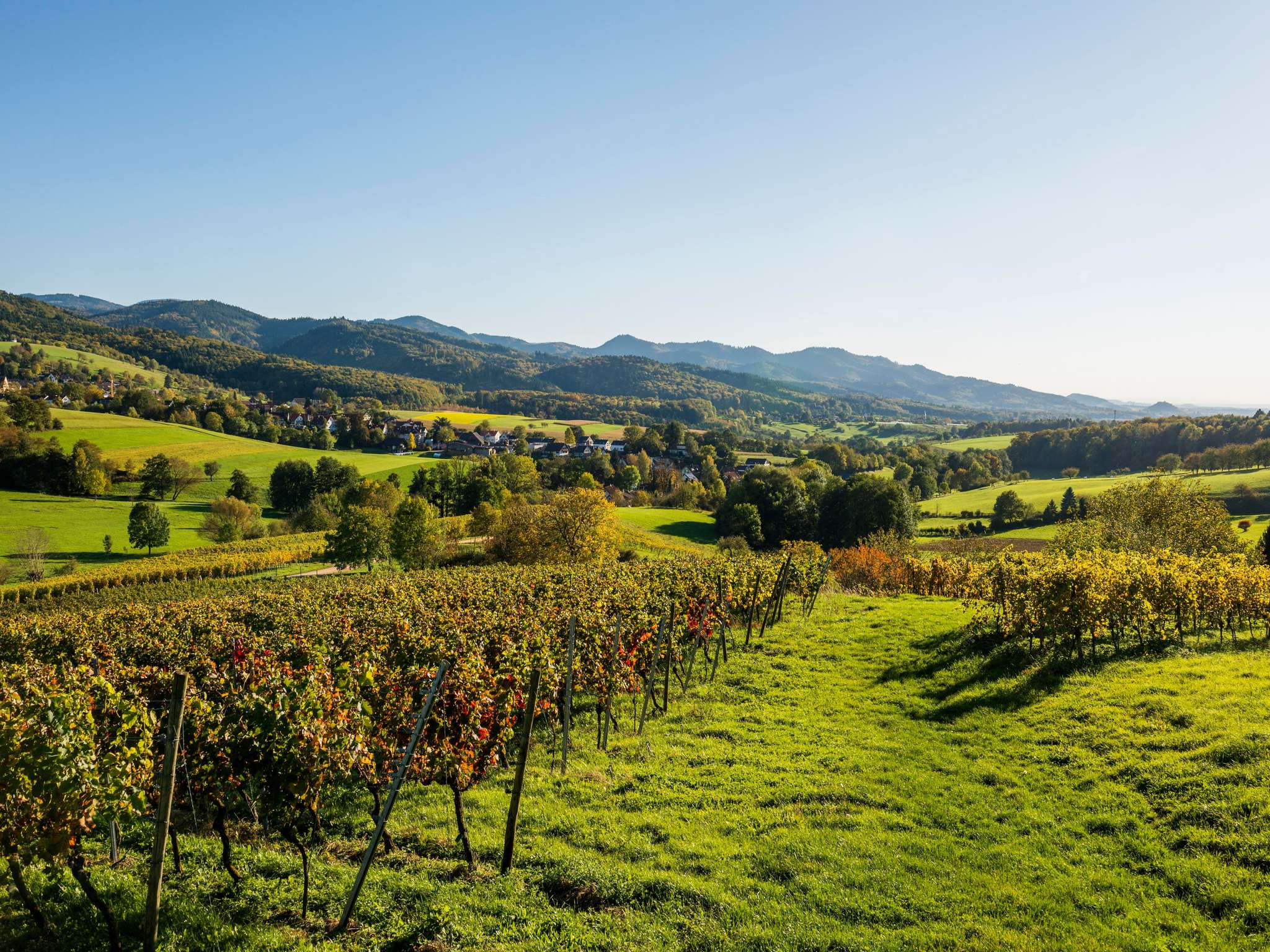 Foto - Novotel Freiburg am Konzerthaus