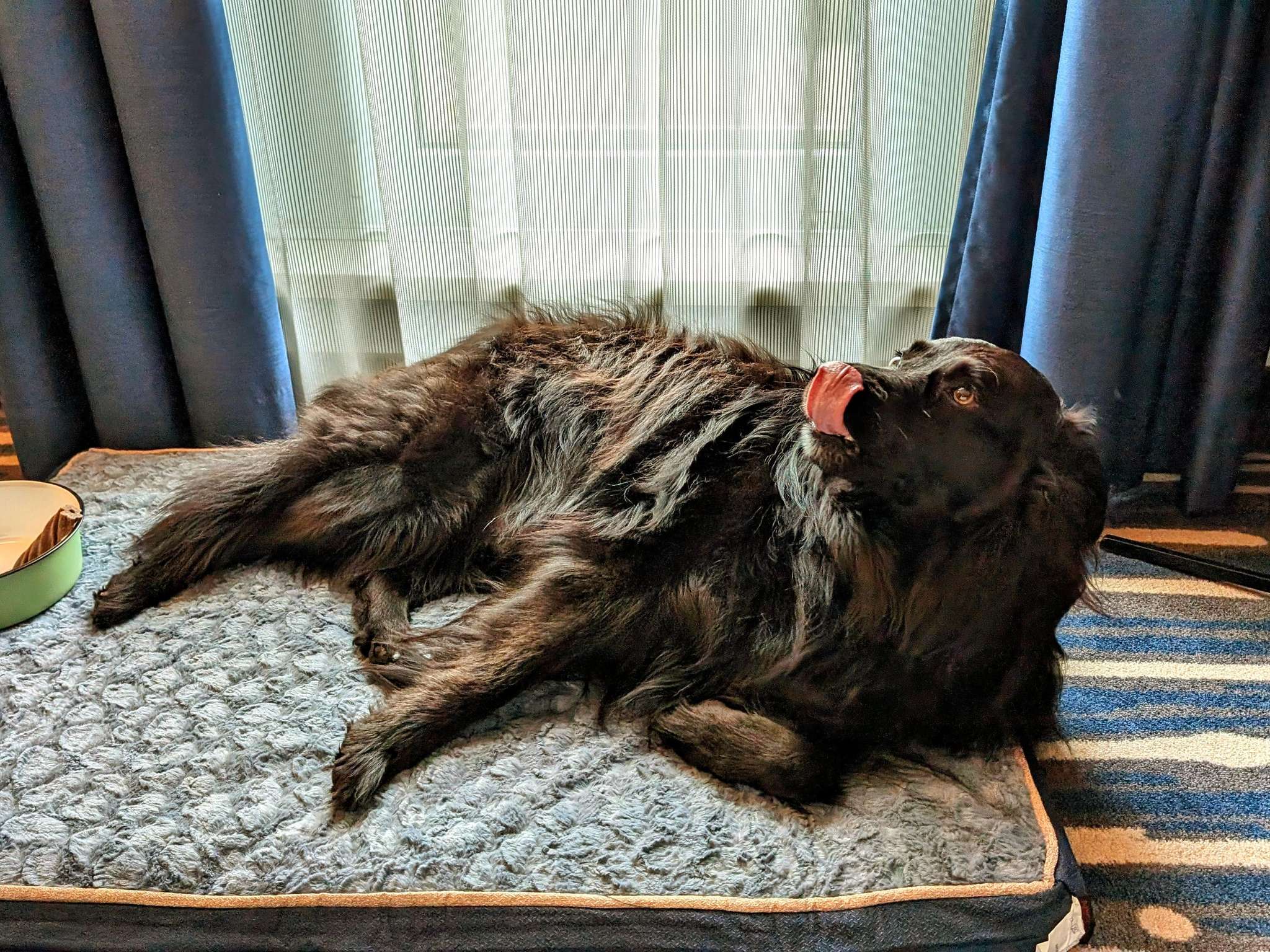 Photo - Mercure Hotel Hamburg Mitte