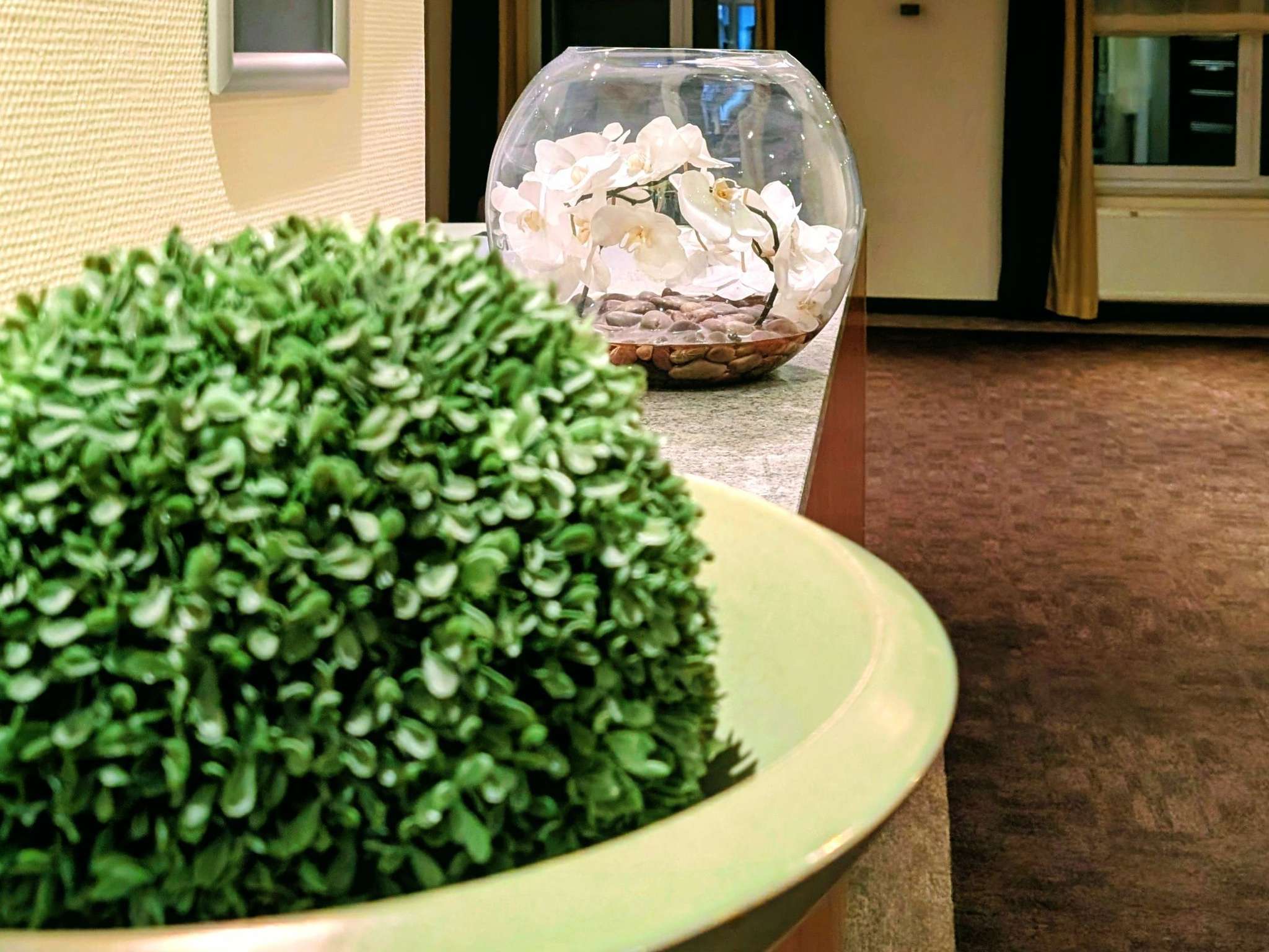 Foto - Mercure Hotel Mannheim am Rathaus