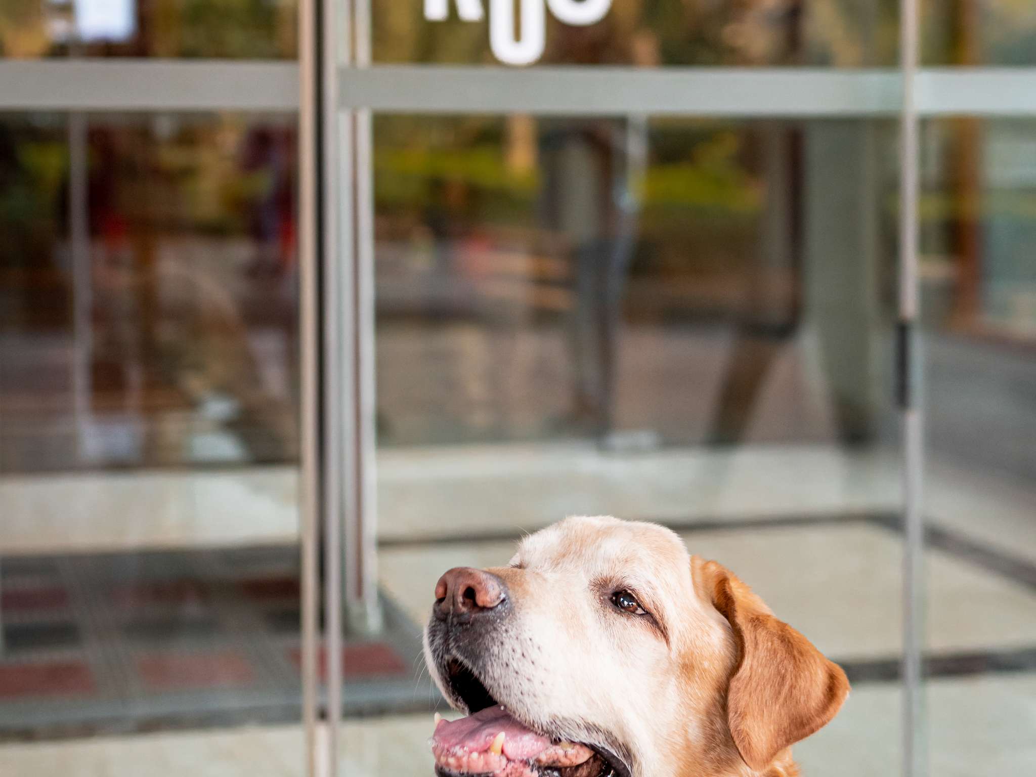 Foto - Ibis Madrid Alcorcon Tresaguas